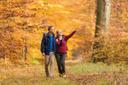 eine herbstliche Wanderung im Blättermeer auf dem Heidschnuckenweg