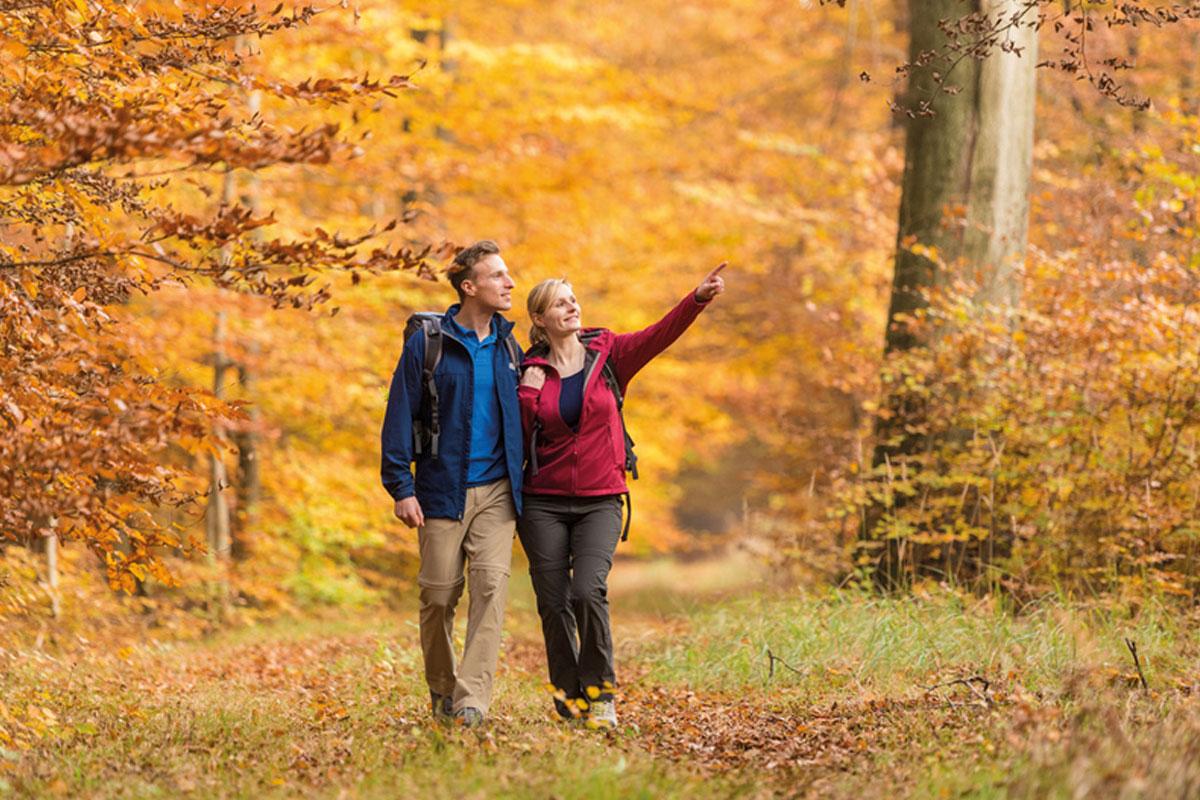 eine herbstliche Wanderung im Blättermeer auf dem Heidschnuckenweg