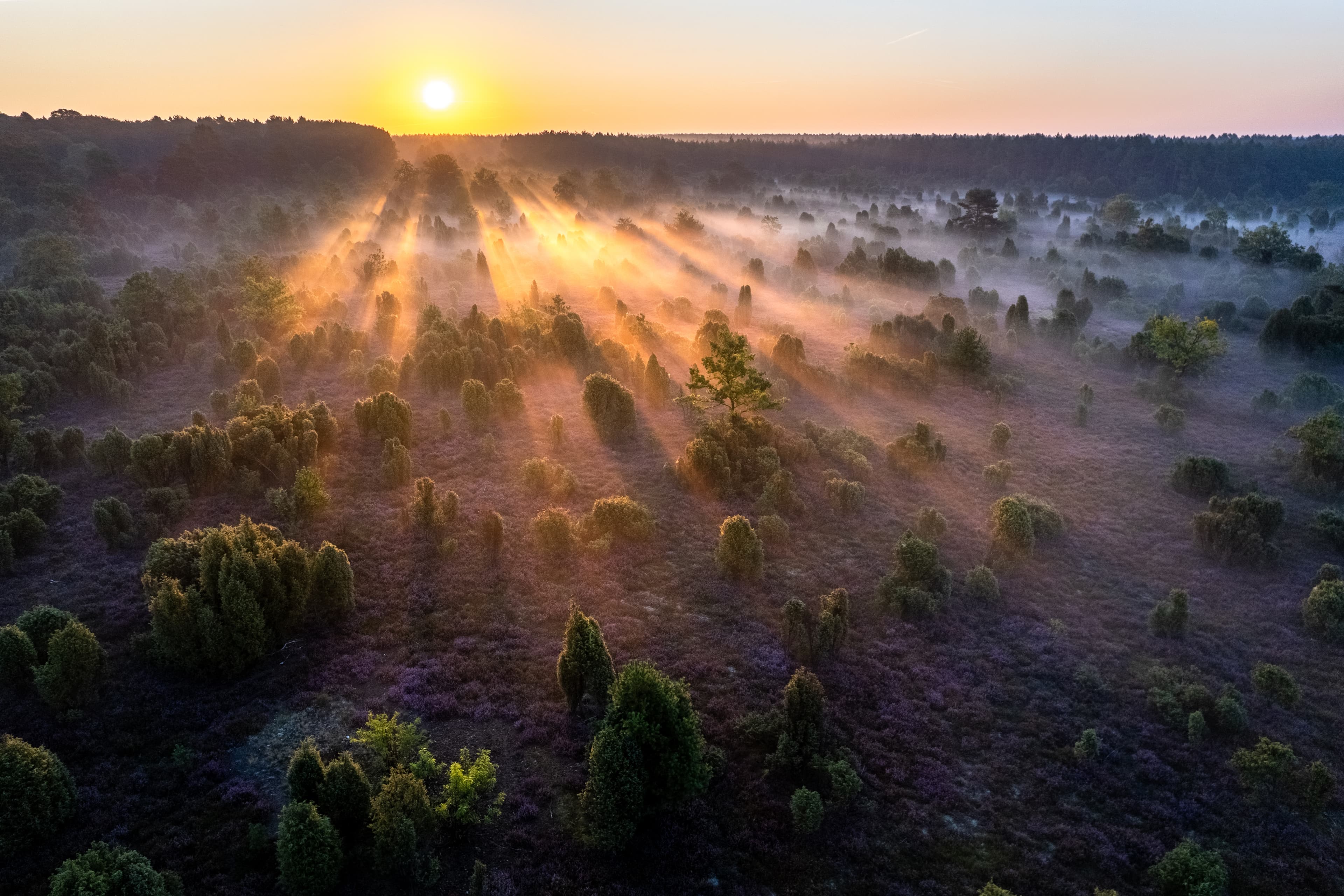 Luftbild aus der Wacholderheide Schmarbeck im Sonnenaufgang