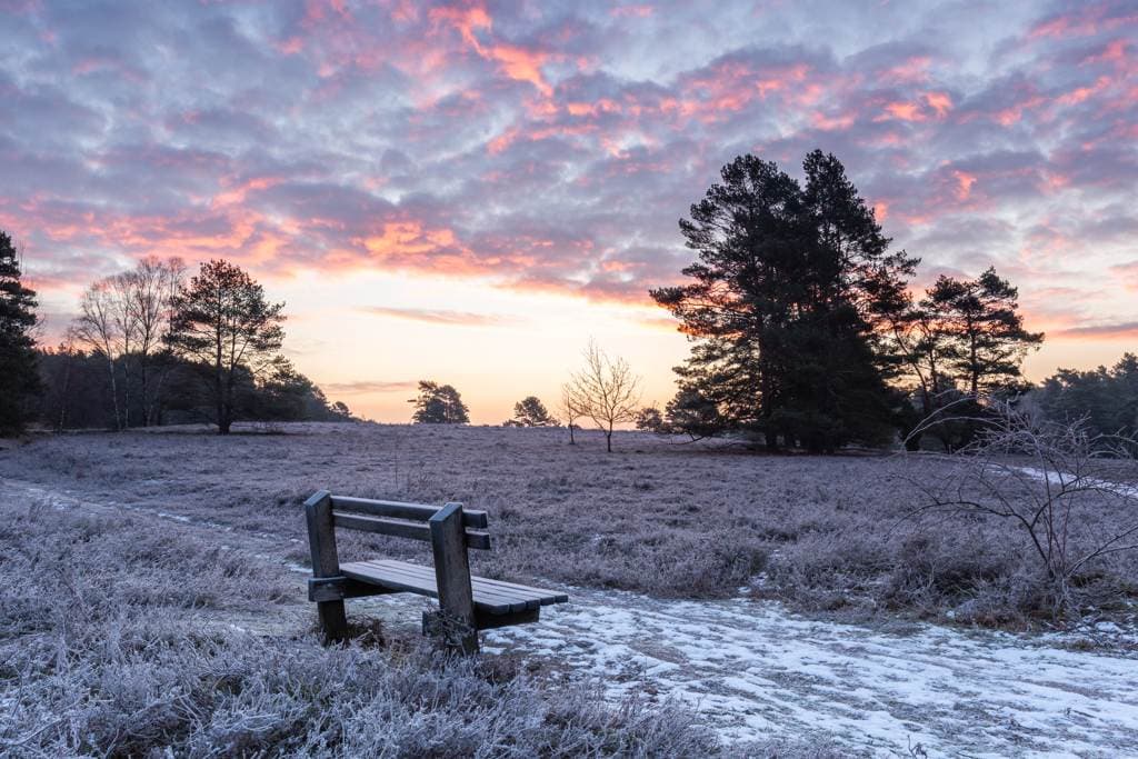 Misselhorner Heide bei Hermannsburg lädt zum Winterwandern in der Lüneburger Heide ein