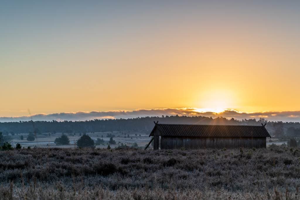 Undeloher Heide bei Sonnenaufgang im Winter in der Lüneburger Heide winterwandern