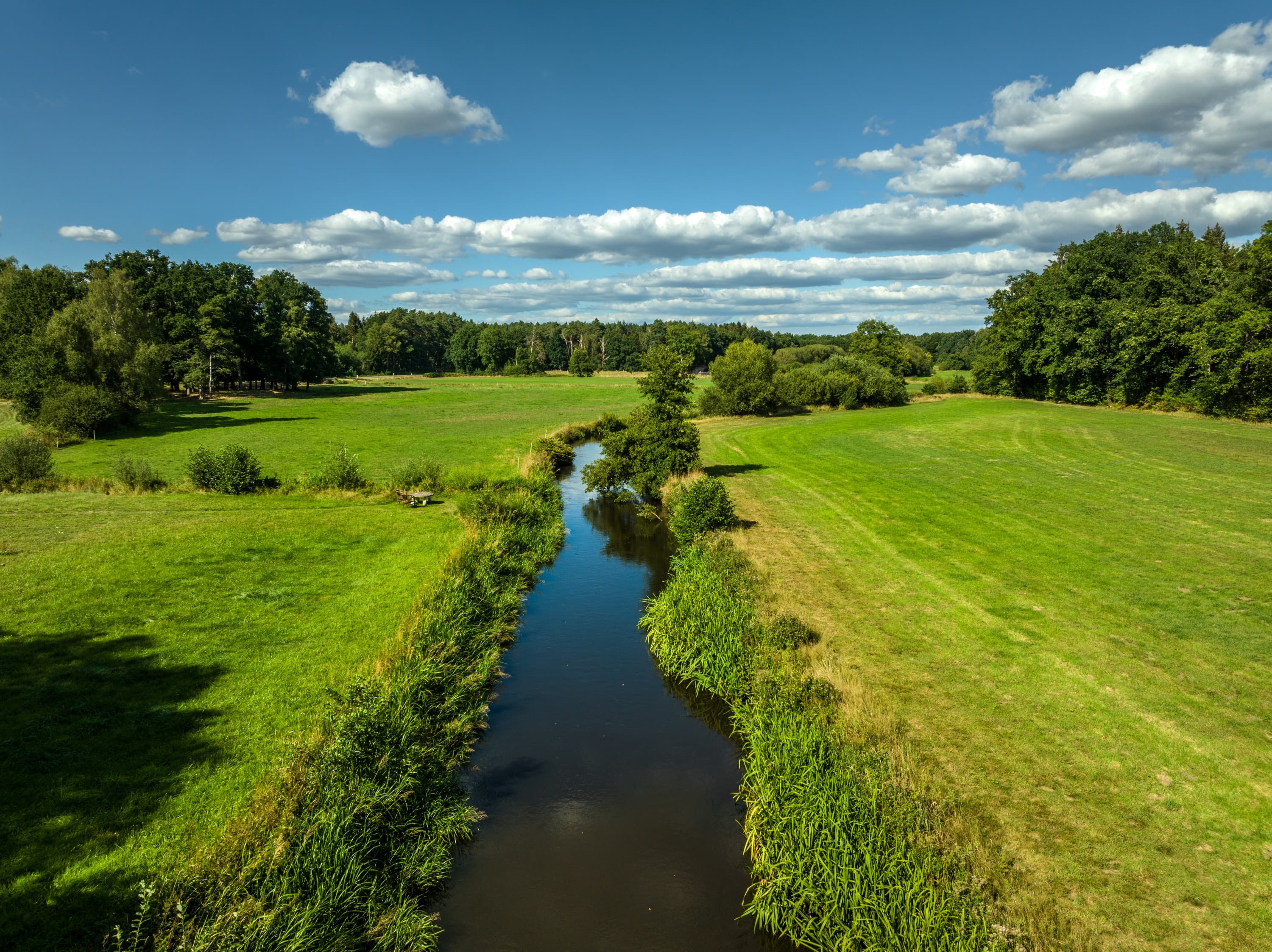 Heidefluss Örtze im Frühling