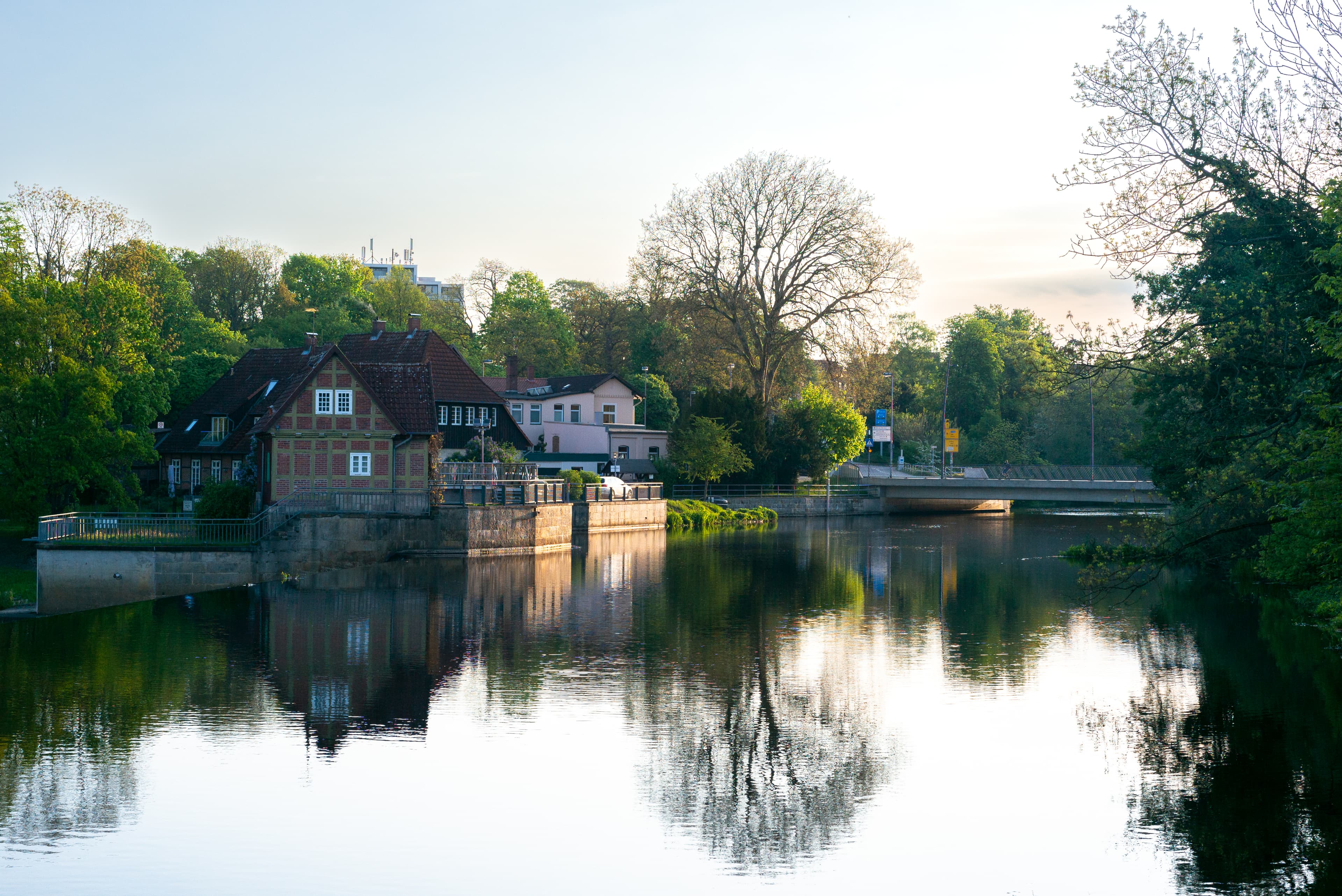 Celler Schlosspark im Frühling