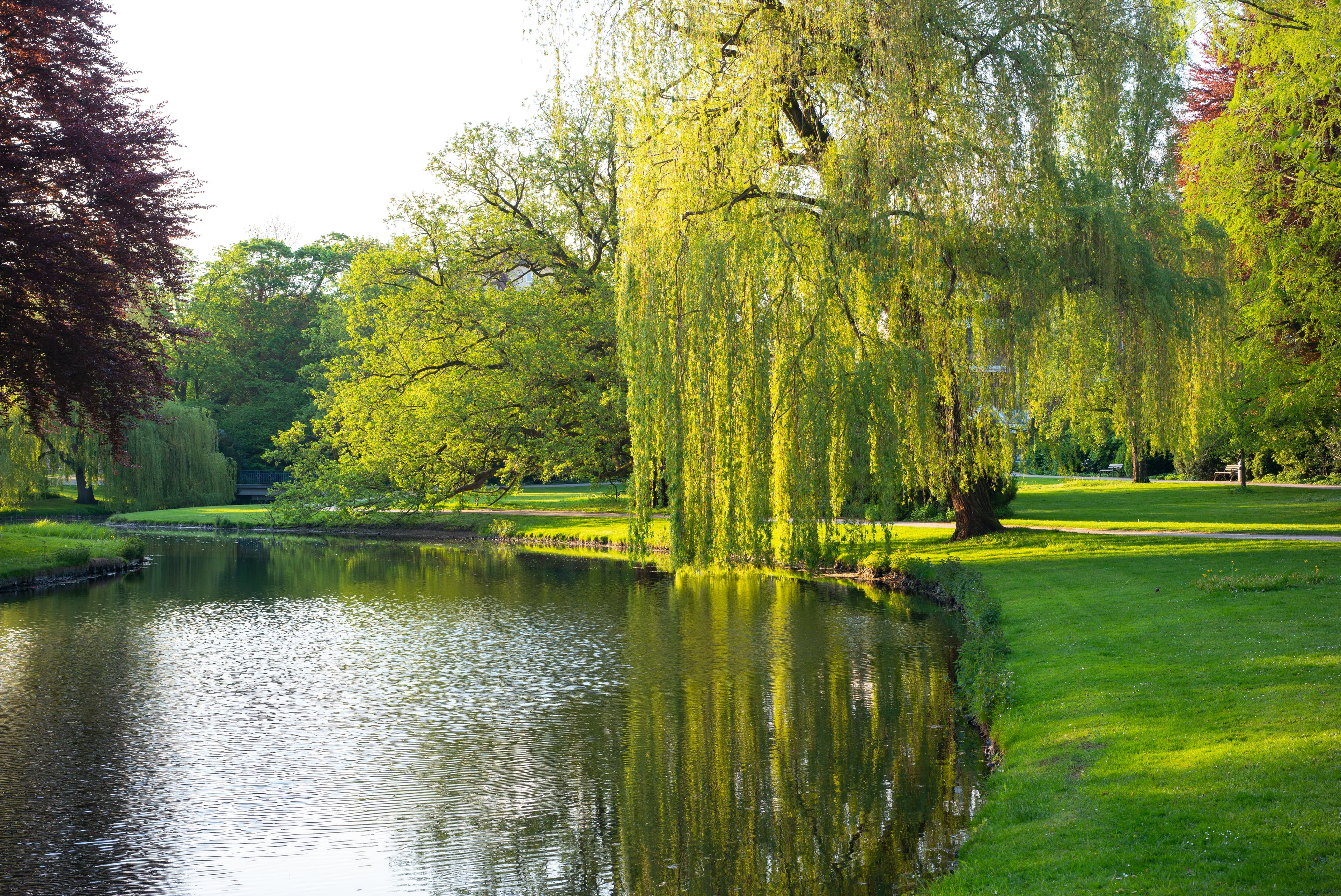 Schlosspark Celle im Frühling