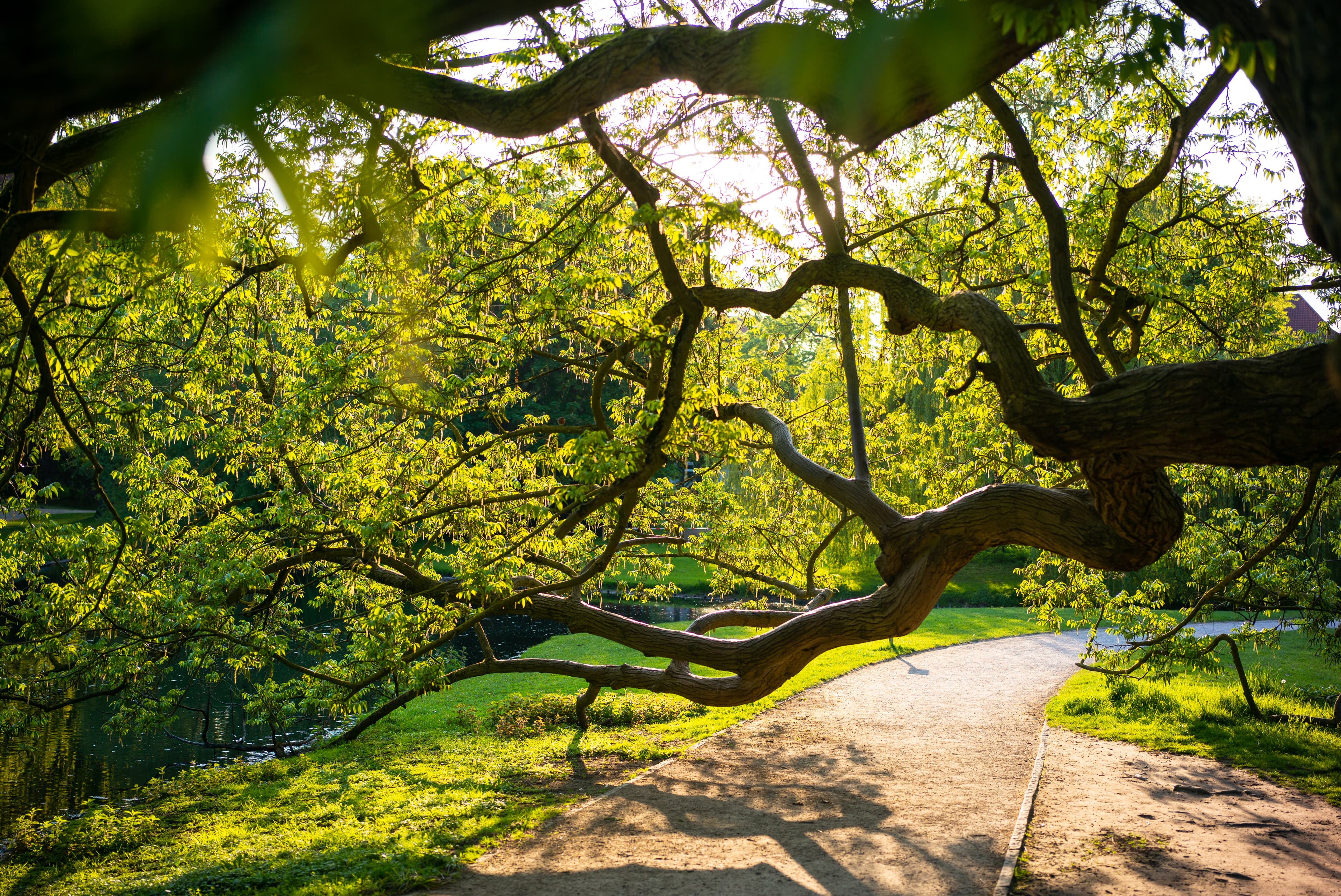 Celler Schlosspark im Frühling