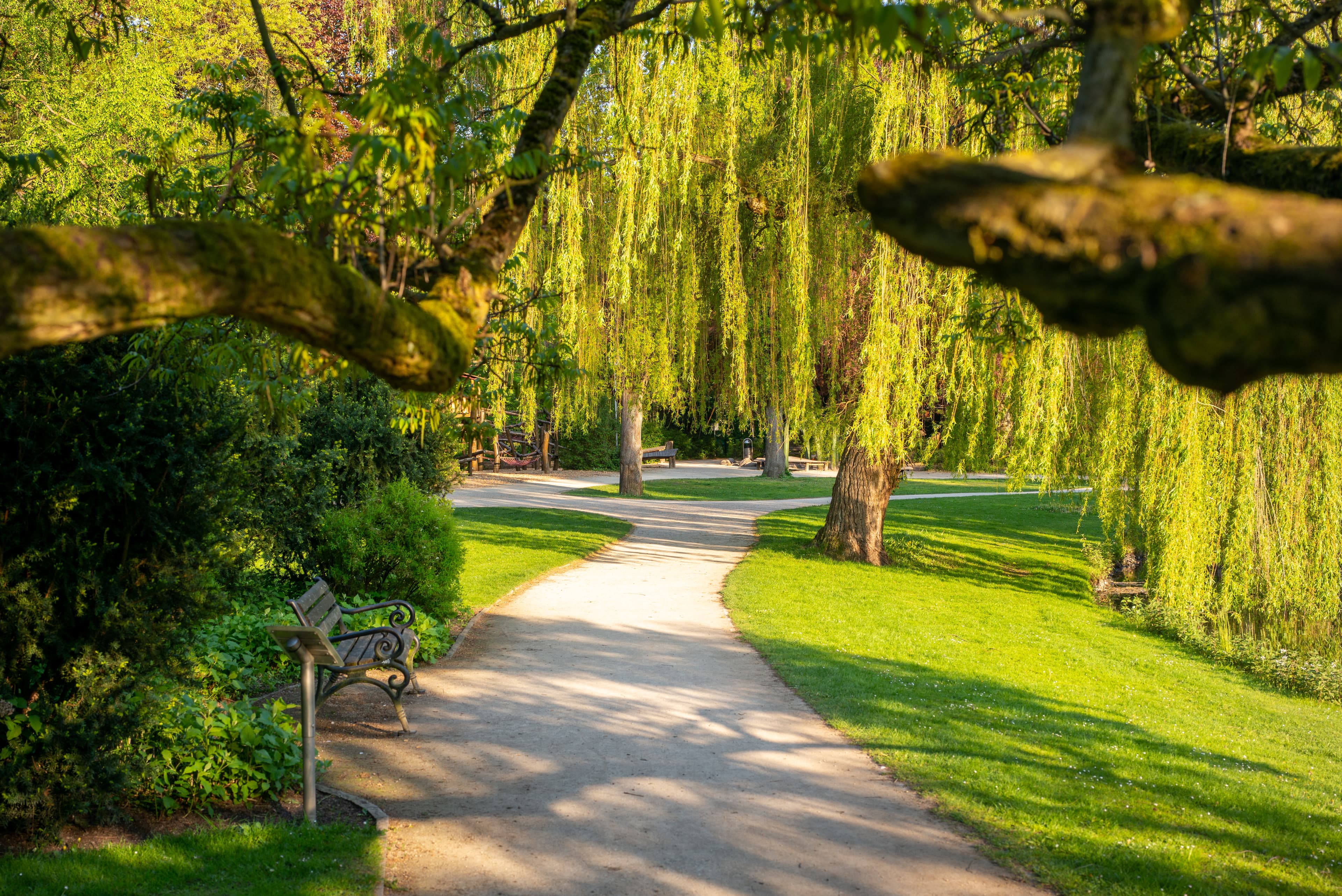 Schlosspark Celle im Frühling