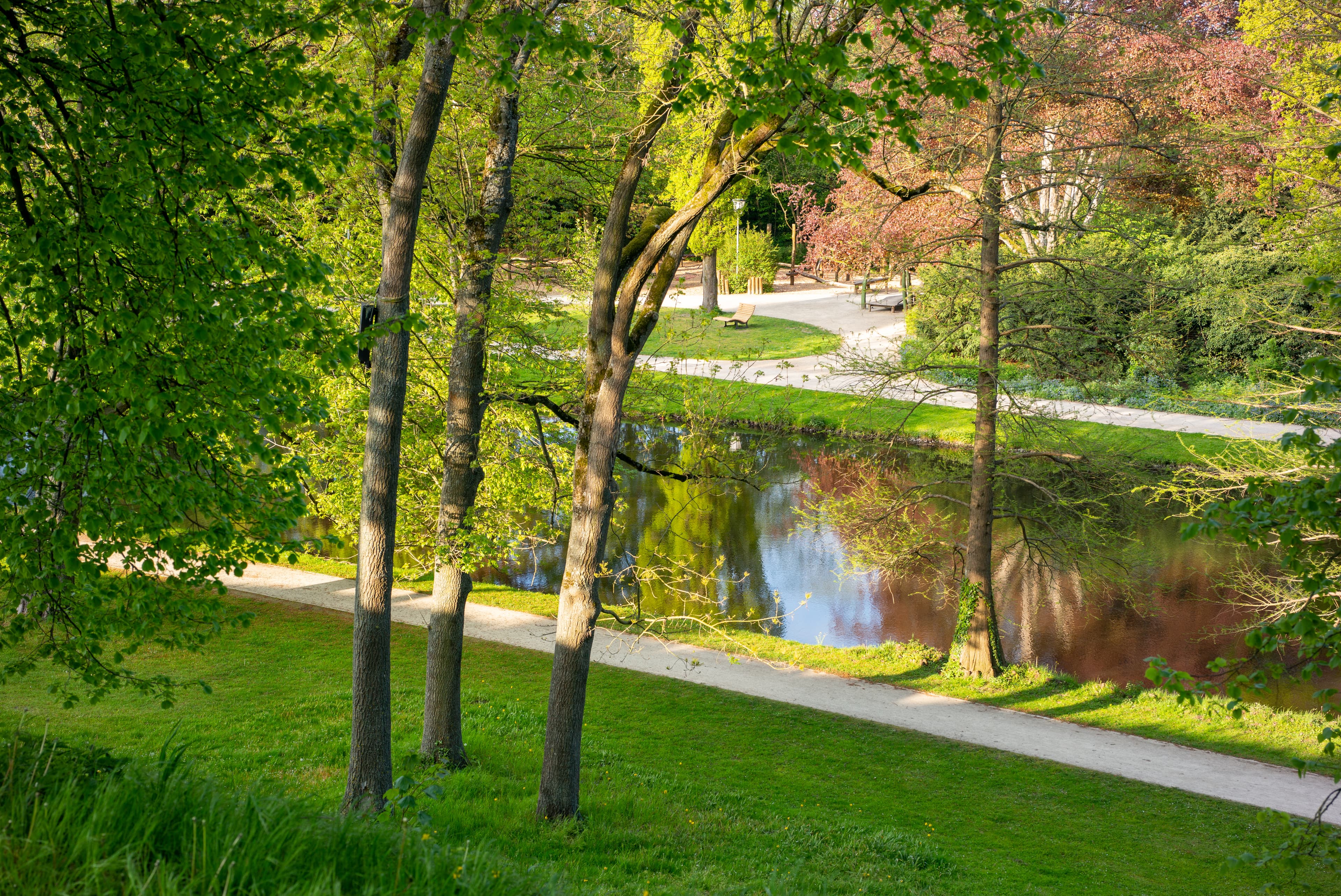 Schlosspark Celle im Frühling