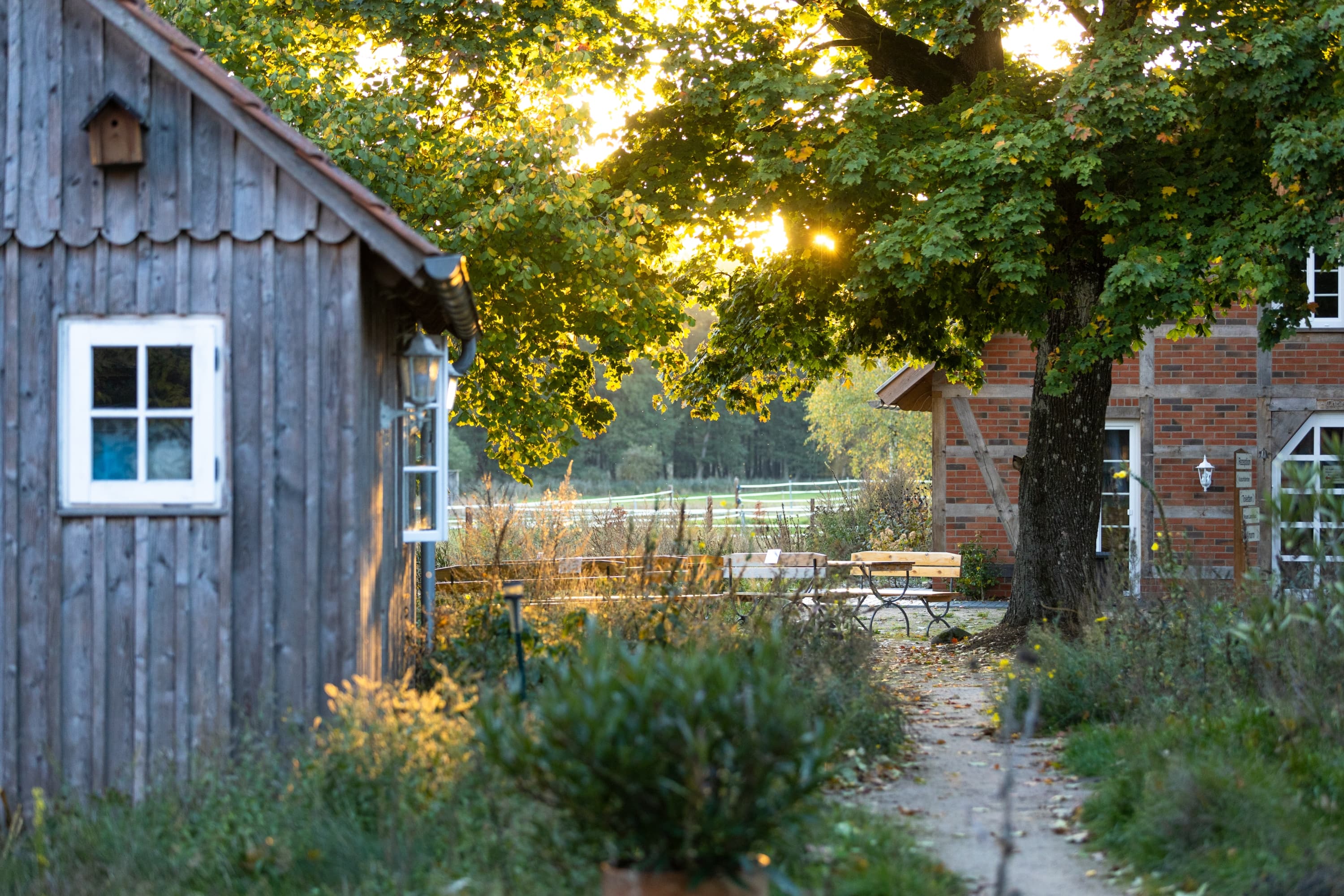 Traumzeithof Eschede Südheide Luftaufnahme
