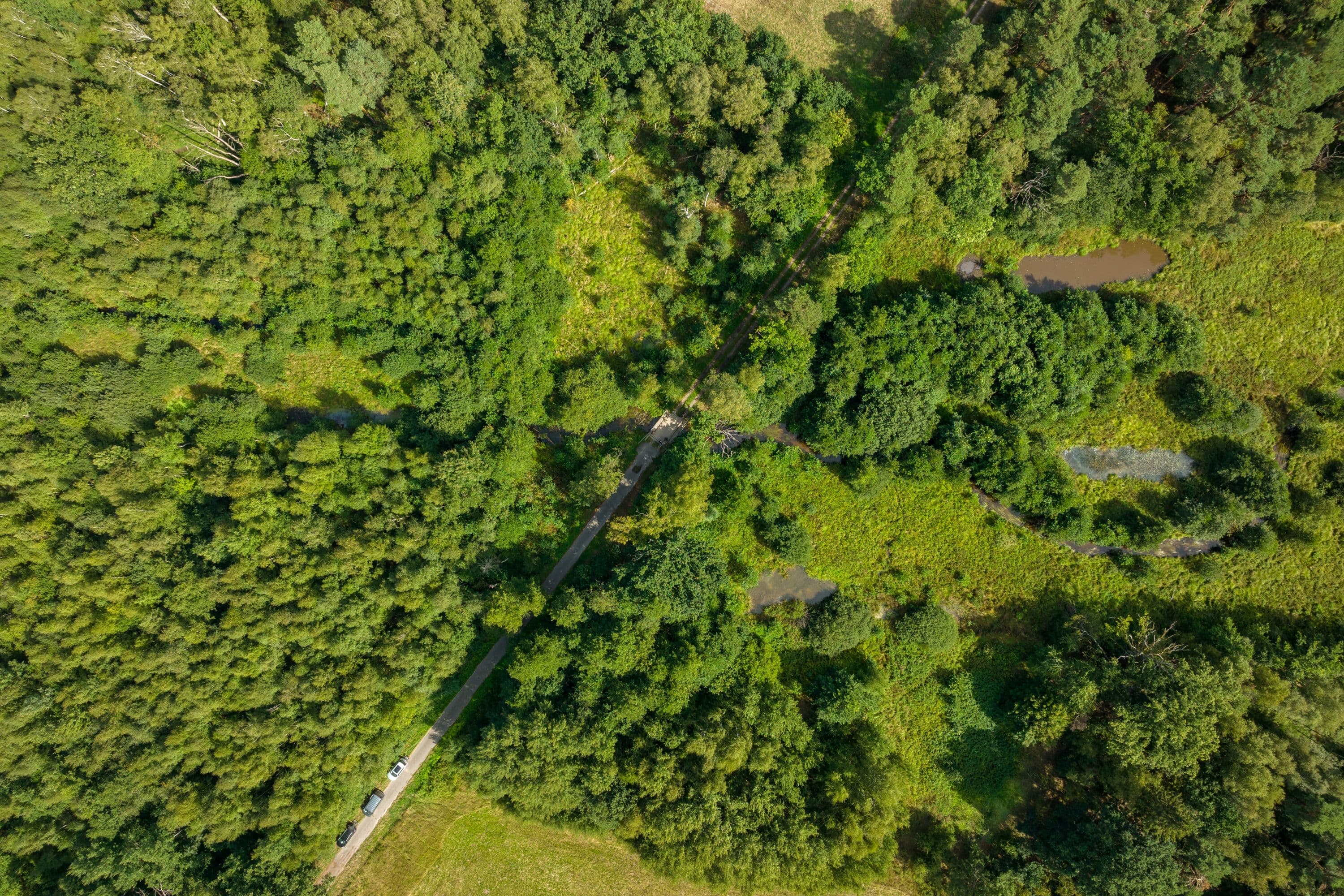 Radfahren am Naturschutzgebiet Lutter