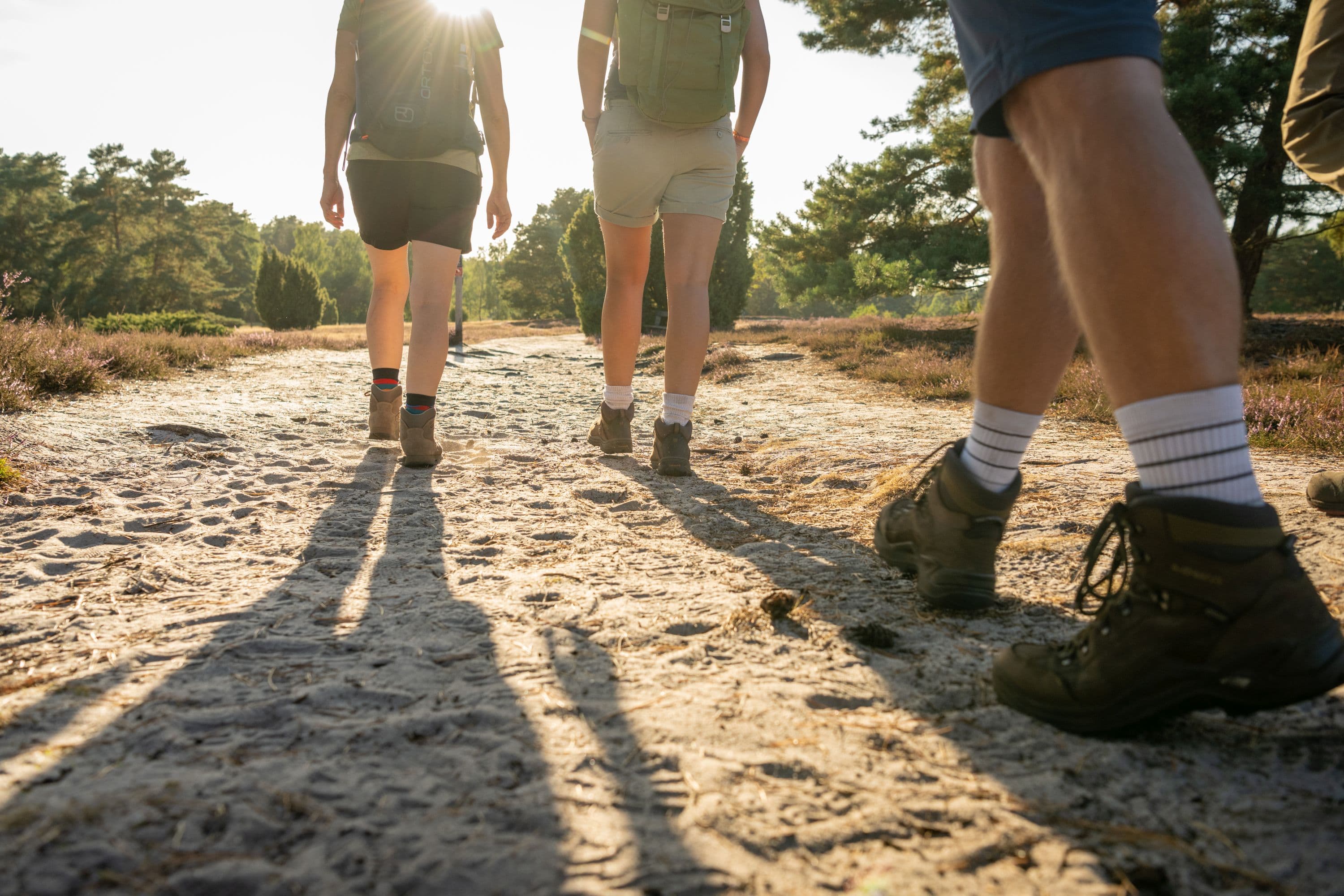 Wandern Misselhorner Heide Hermannsburg Südheide
