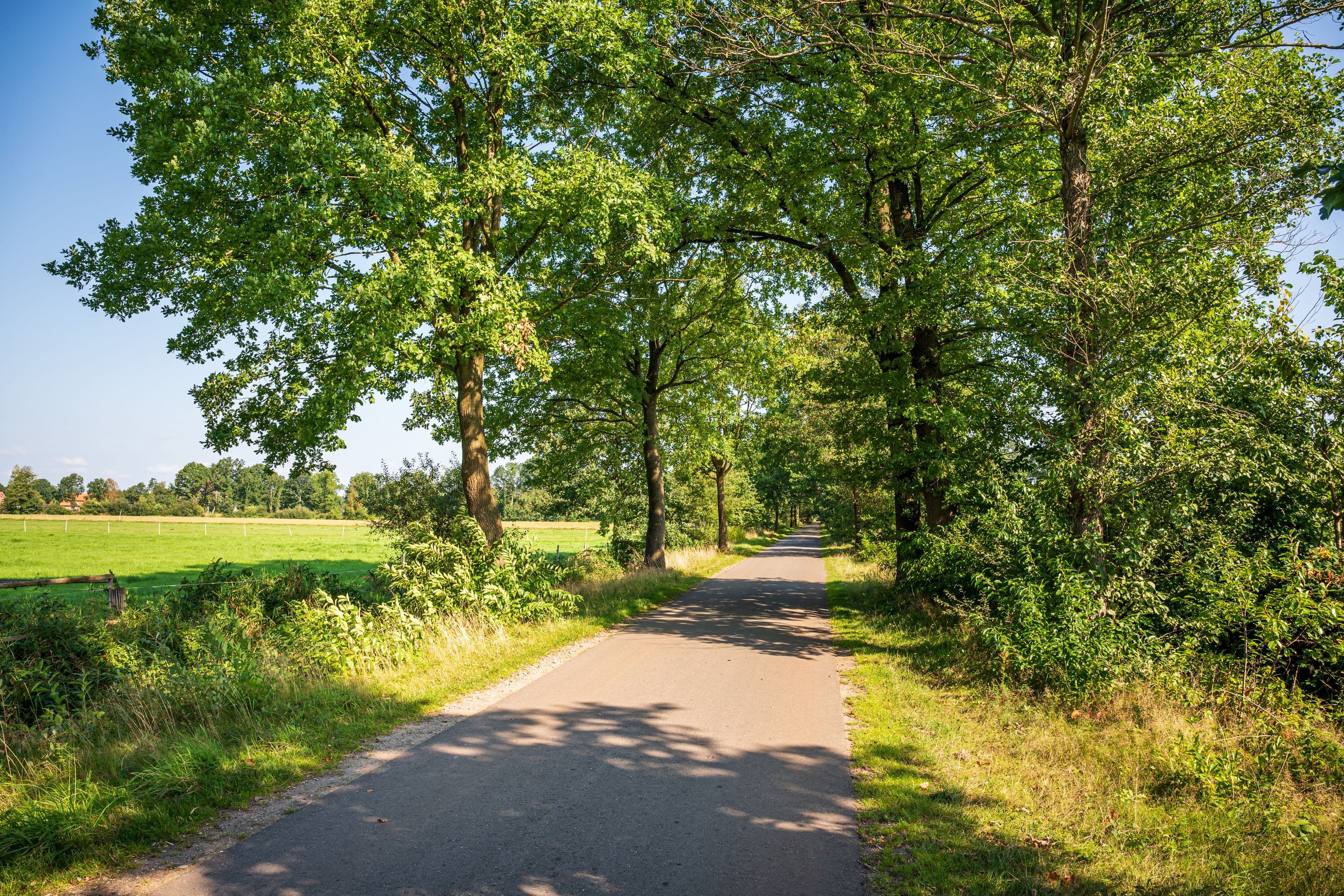 Wandern durch weite Feld- und Wiesenlandschaften in der Südheide