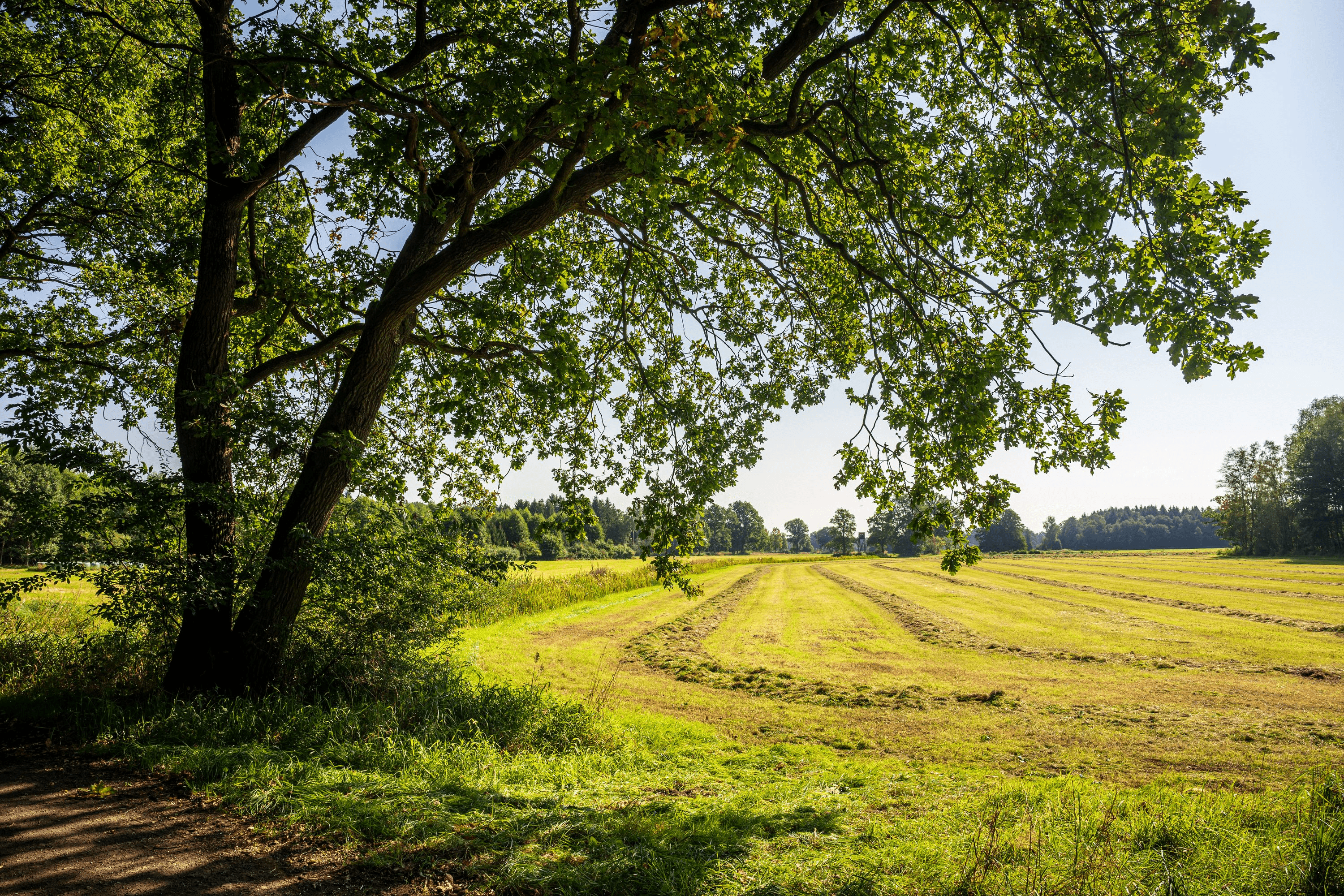 Wanderweg Salz in der Heide durch die südliche Lüneburger Heide