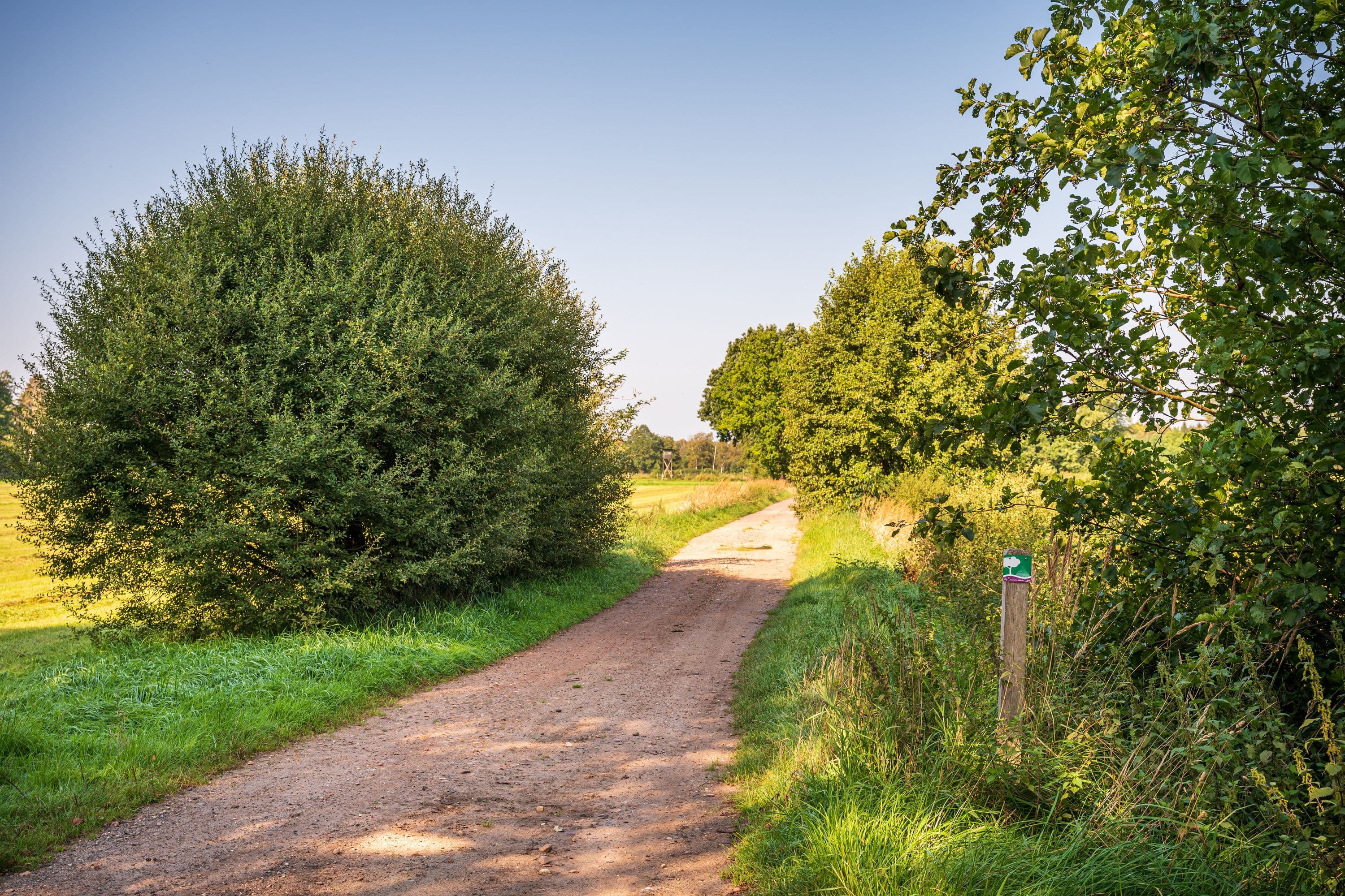 Wandern durch weite Feld- und Wiesenlandschaften in der Südheide