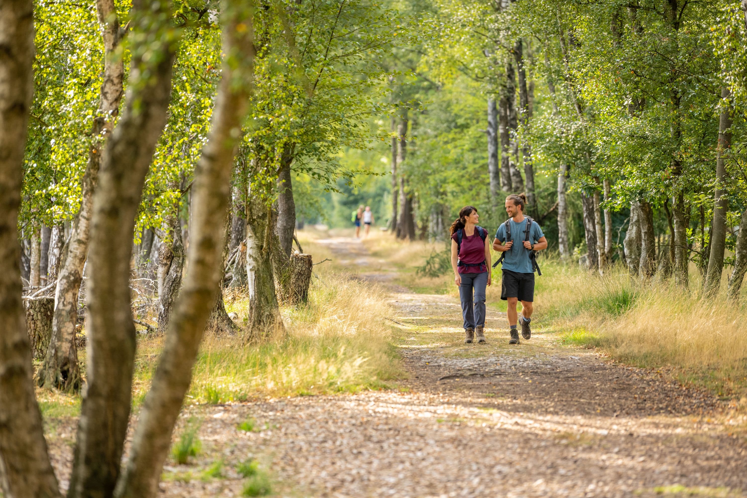 Pietzmoor Schneverdingen Rundweg Wanderer