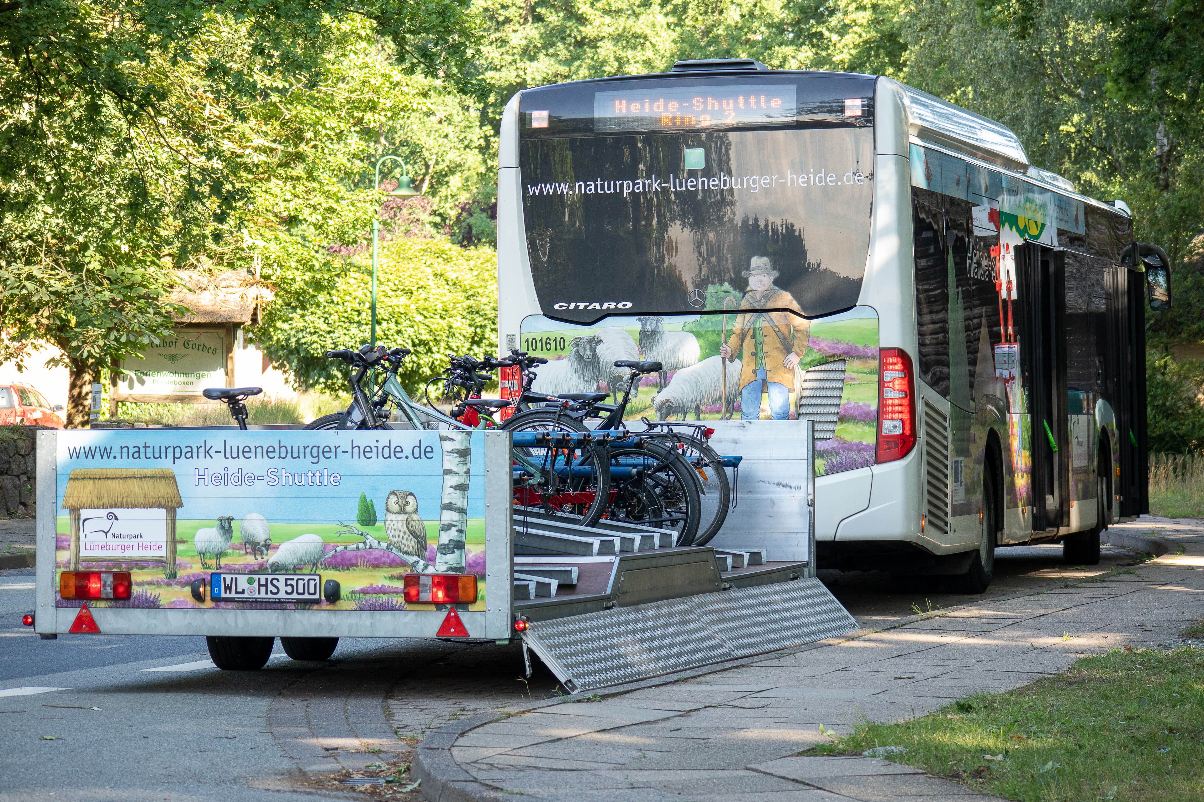 An 100 Haltestellen hält der Heide Shuttle in der Lüneburger Heide während der Sommermonate