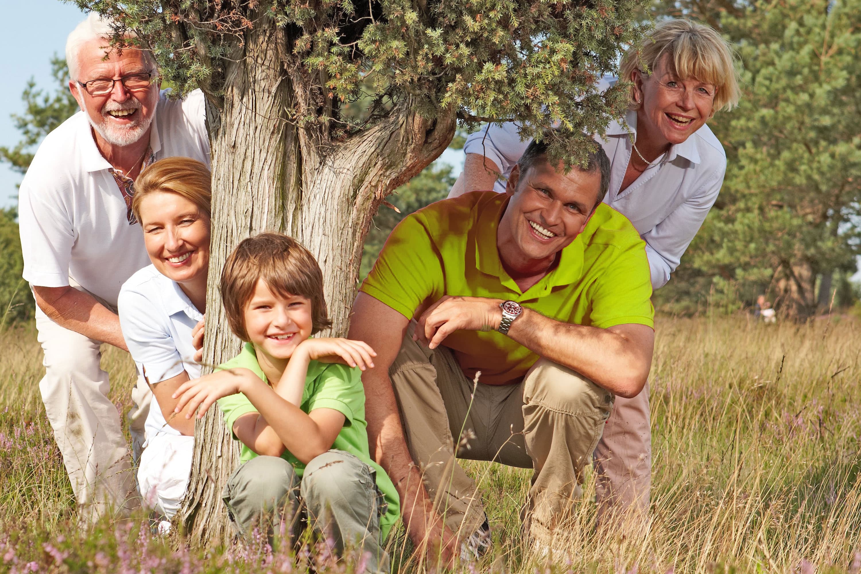 Pfingstfeiertage in die Lüneburger Heide fahren