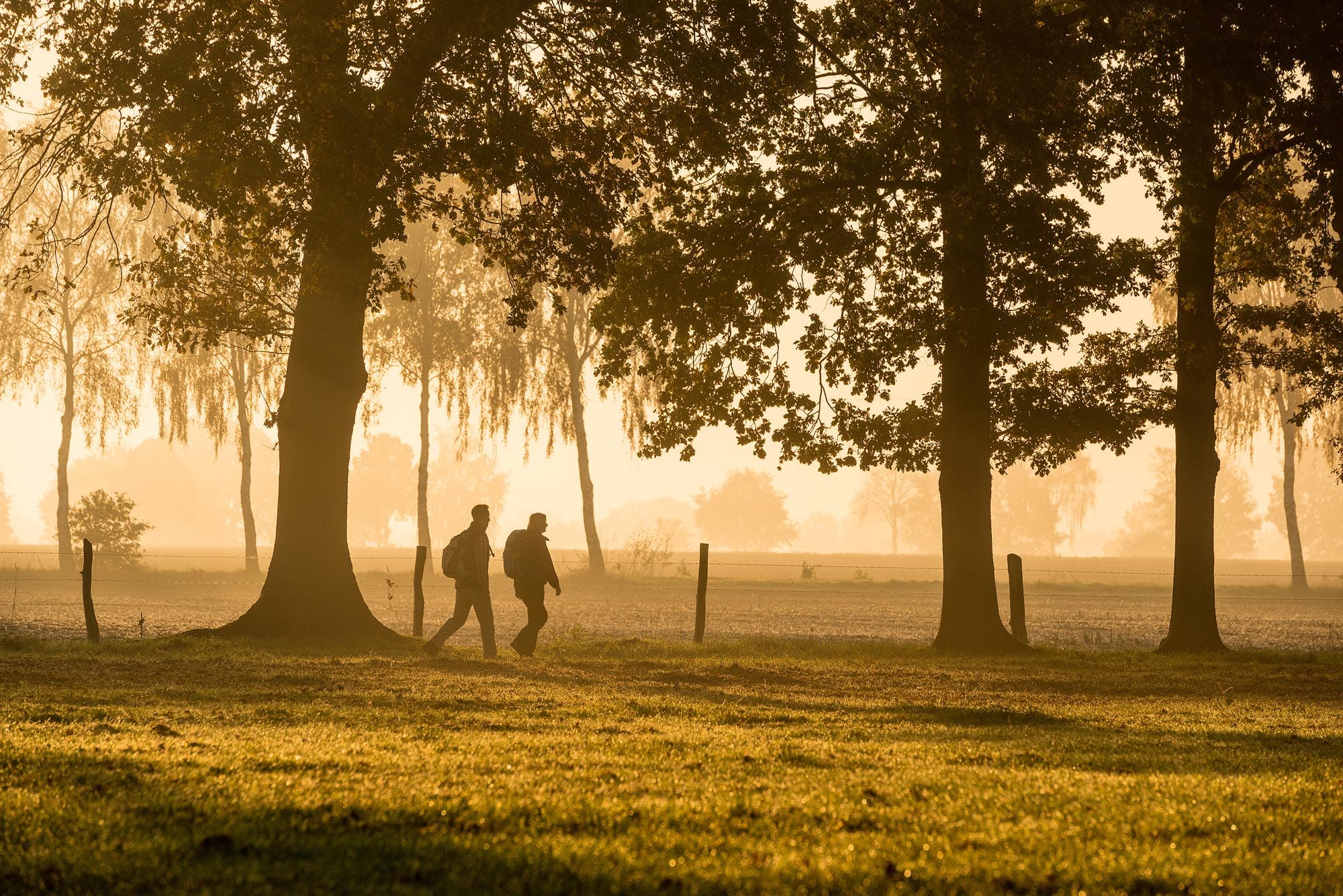 Wanderung im Herbst durch die Lüneburger Heide