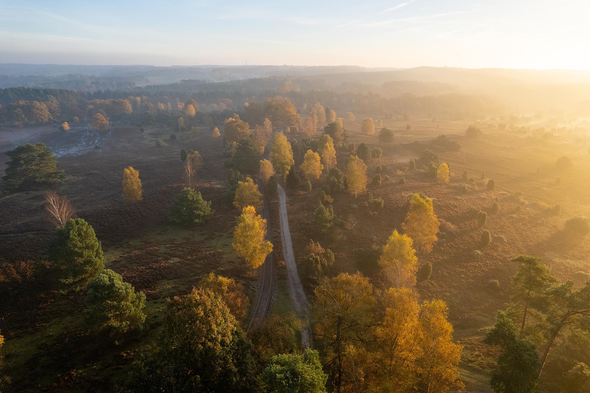 Luftbild vom Heide Herbst