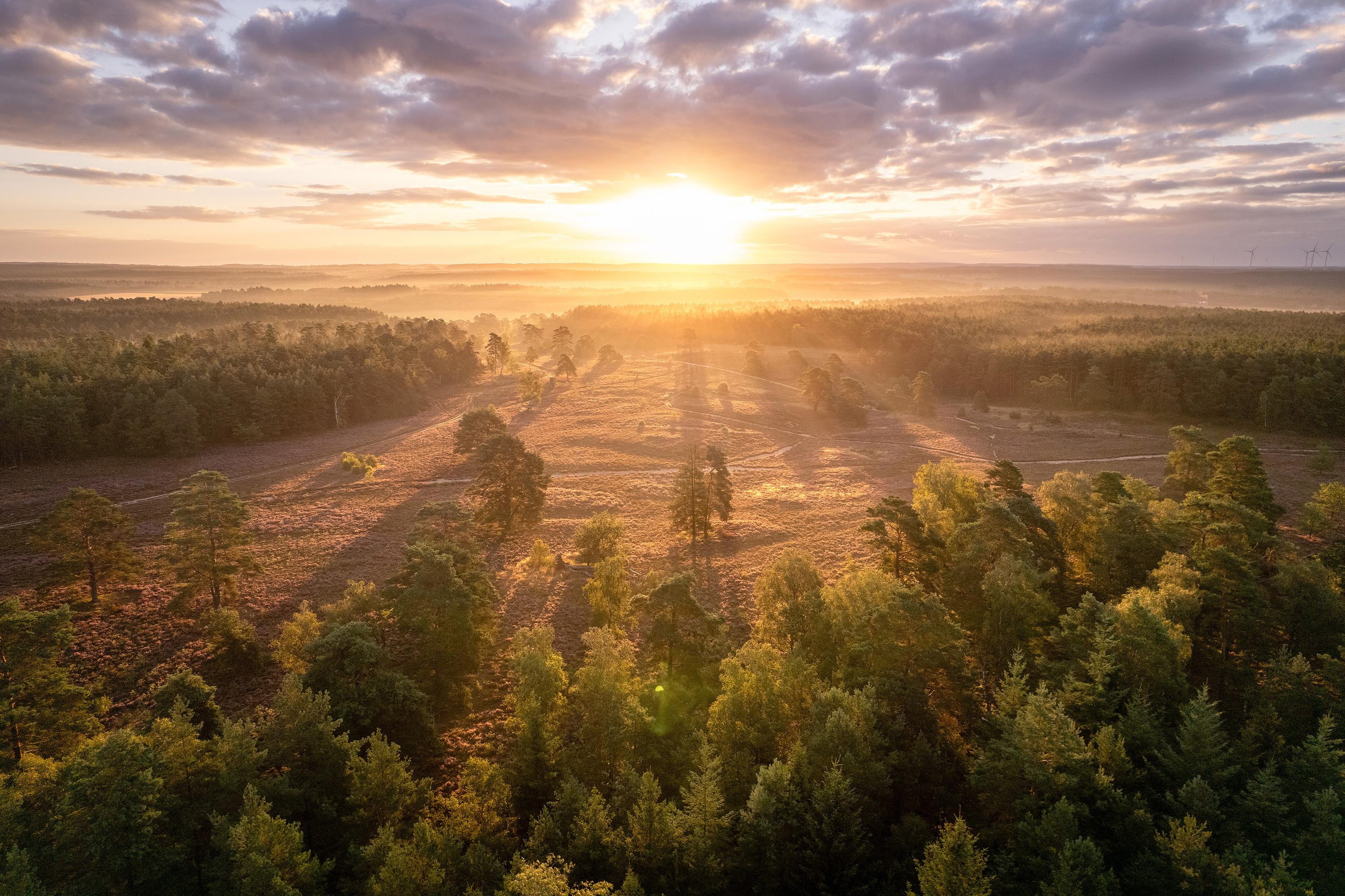 Schwindebecker Heide