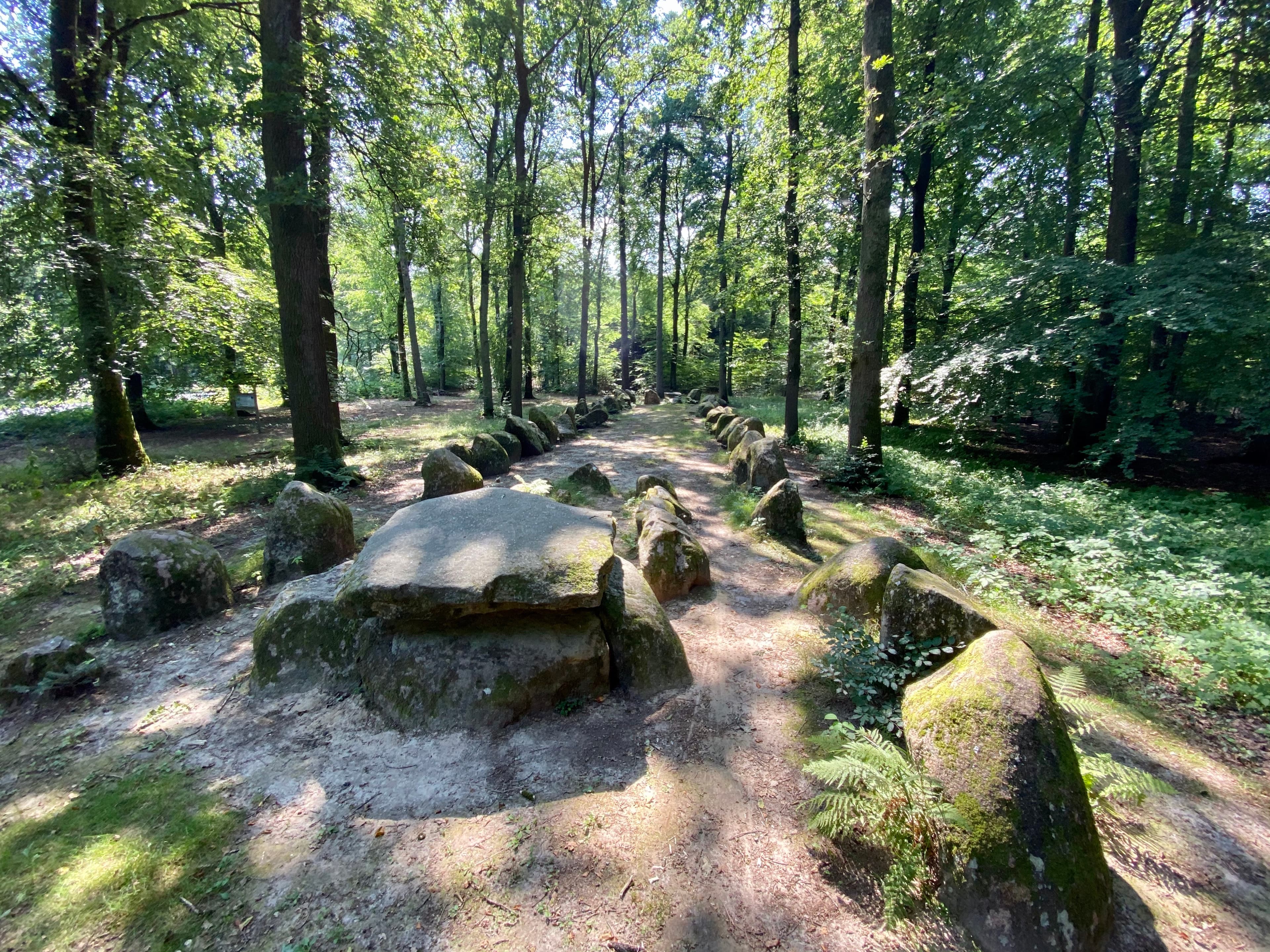 Hühnengrab im Kleckerwald in Buchholz in der Nordheide am Freudenthalweg