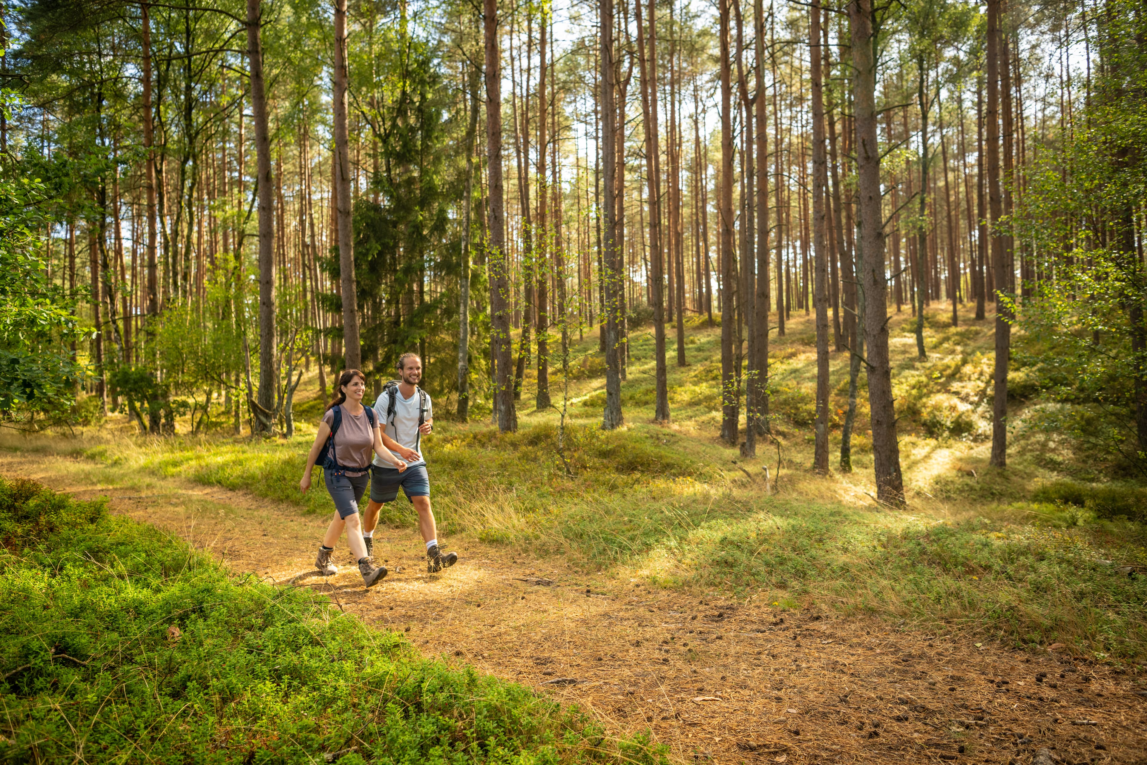 Hermannsburg Tiefental Wandern