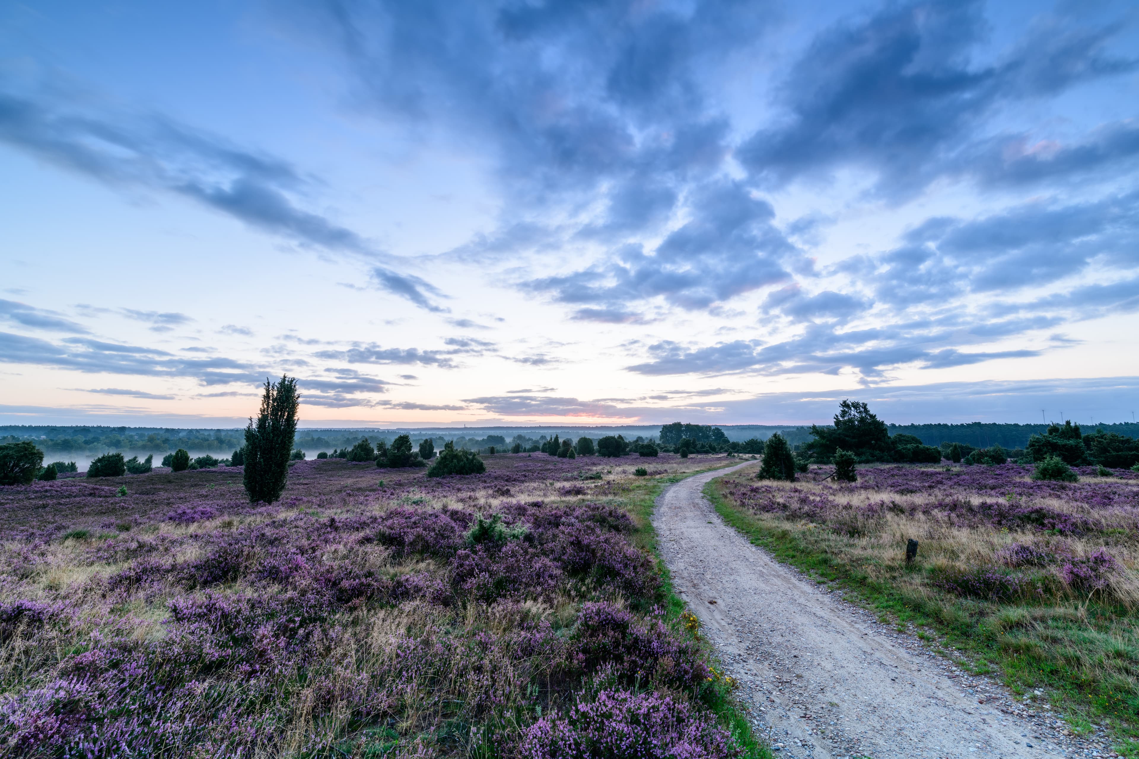 Wandern durch das Radenbachtal auf dem Pastor Bode Weg