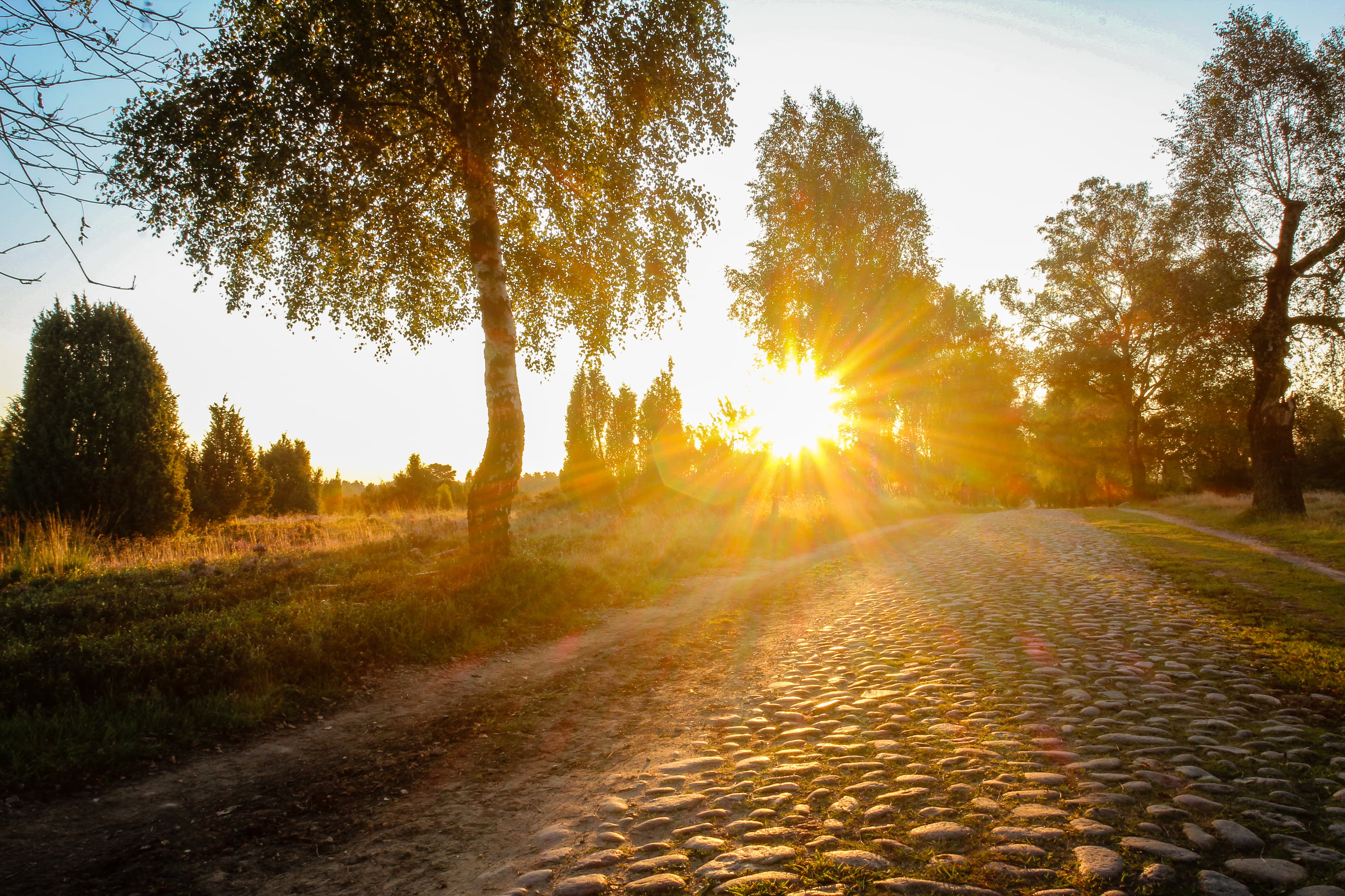 Der Wanderweg von Wilsede nach Oberhaverbeck