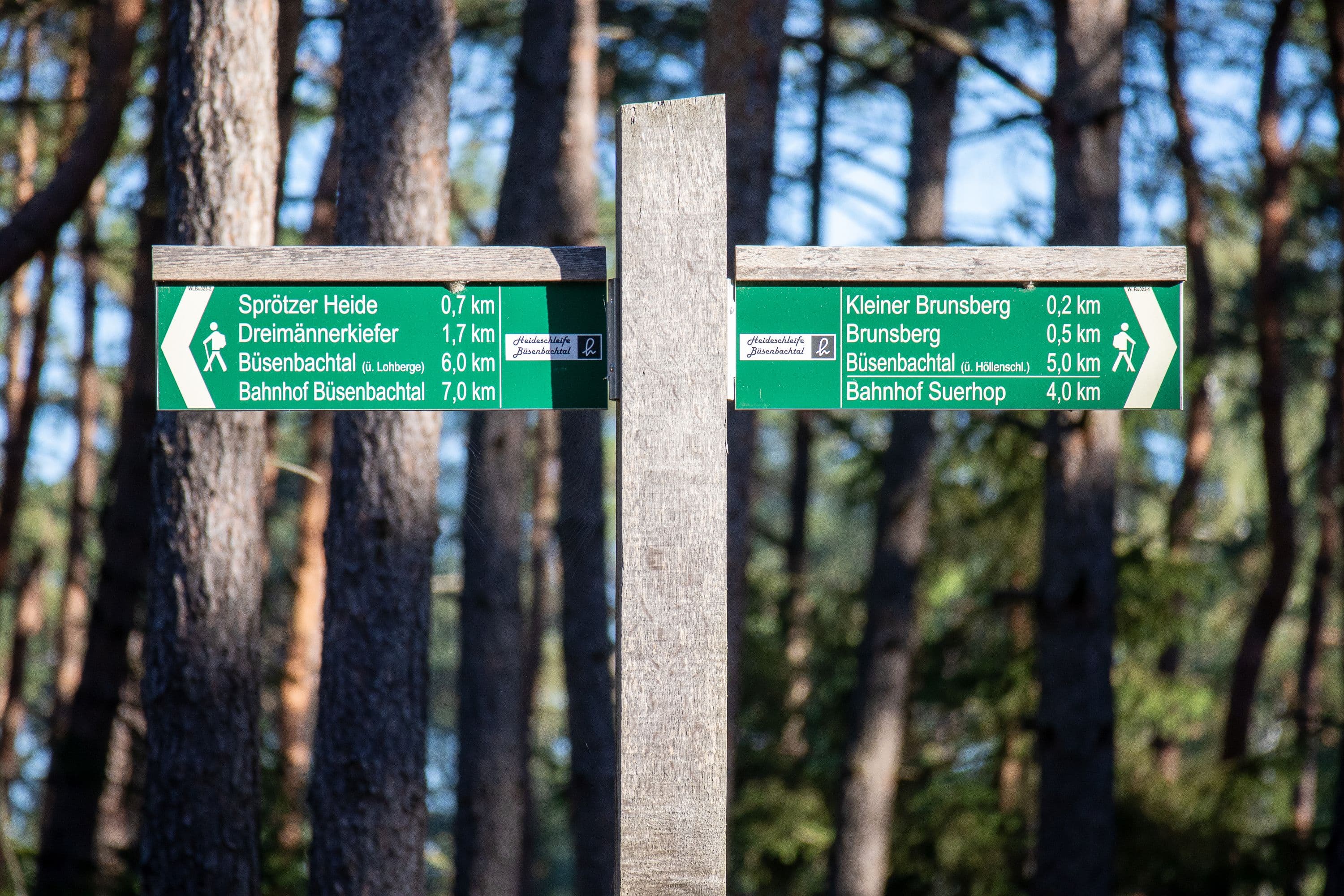 Gut ausgeschildertes Wandergebiet am Brunsberg