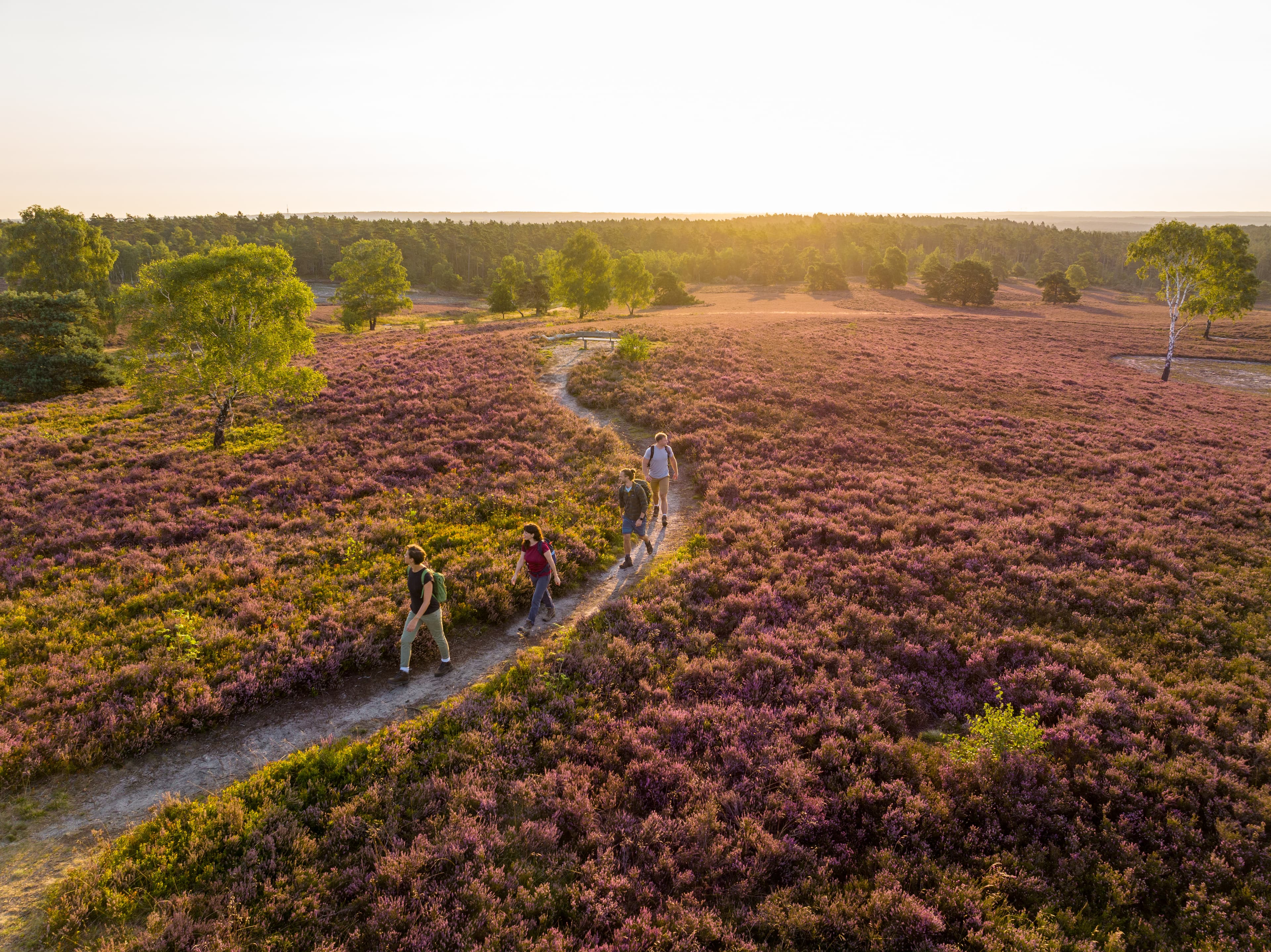 Tolle Wanderwege rund um den Brunsberg