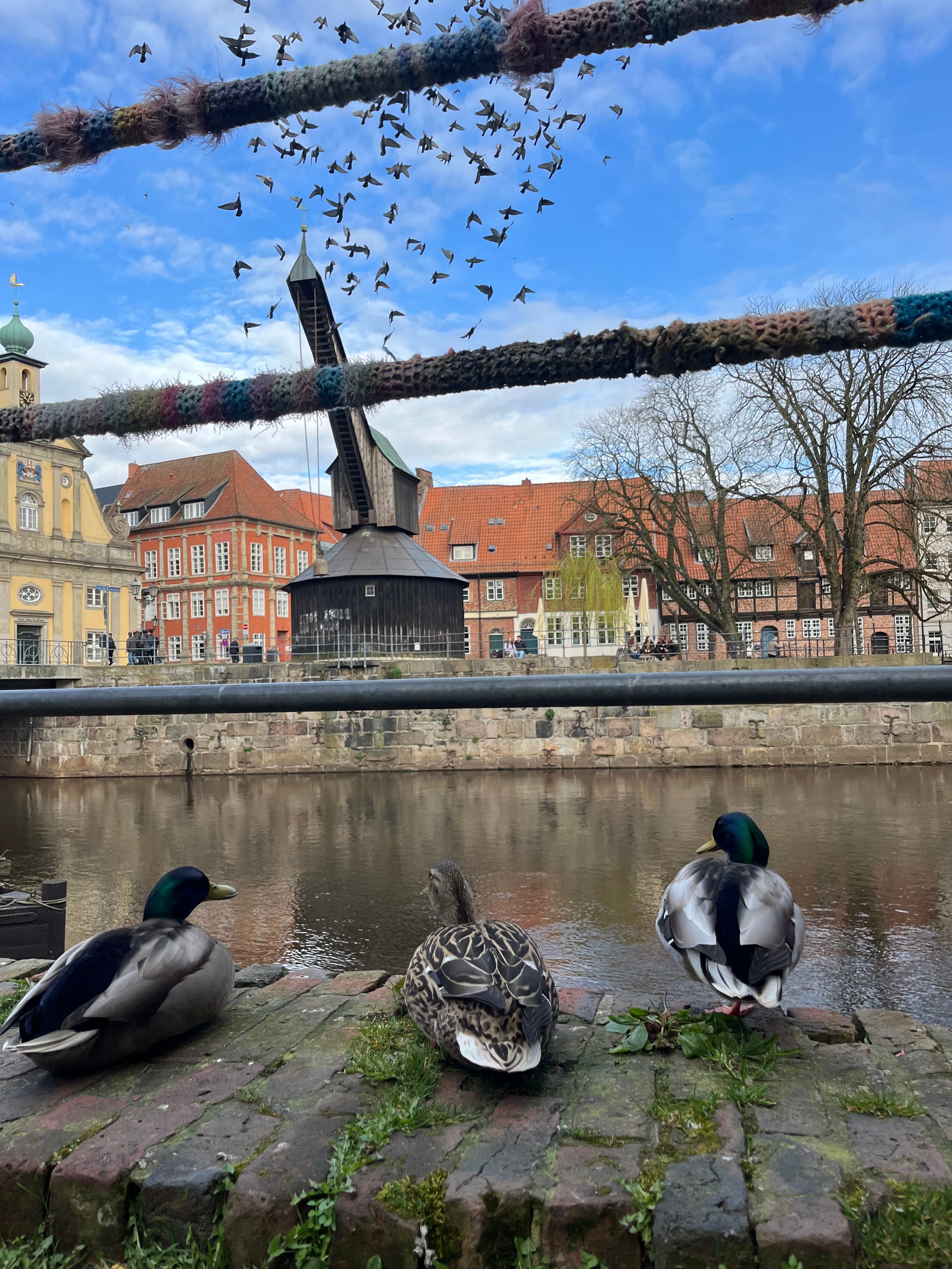 Alter Kran Lüneburg Stint Altstadt