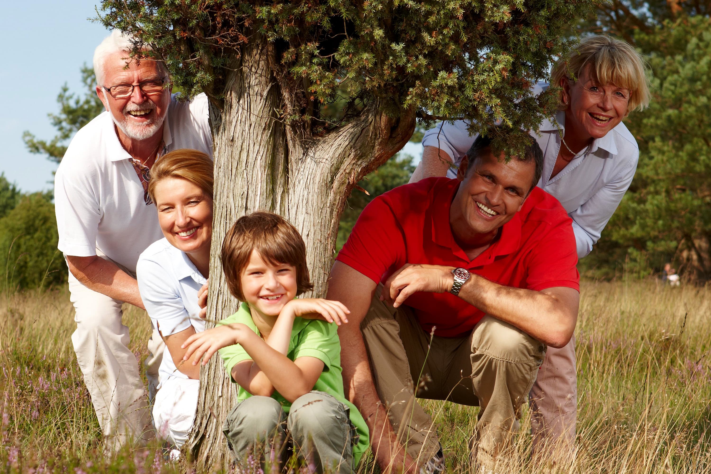 eine familie verteilt sich um einen baum auf einer blühenden wiese