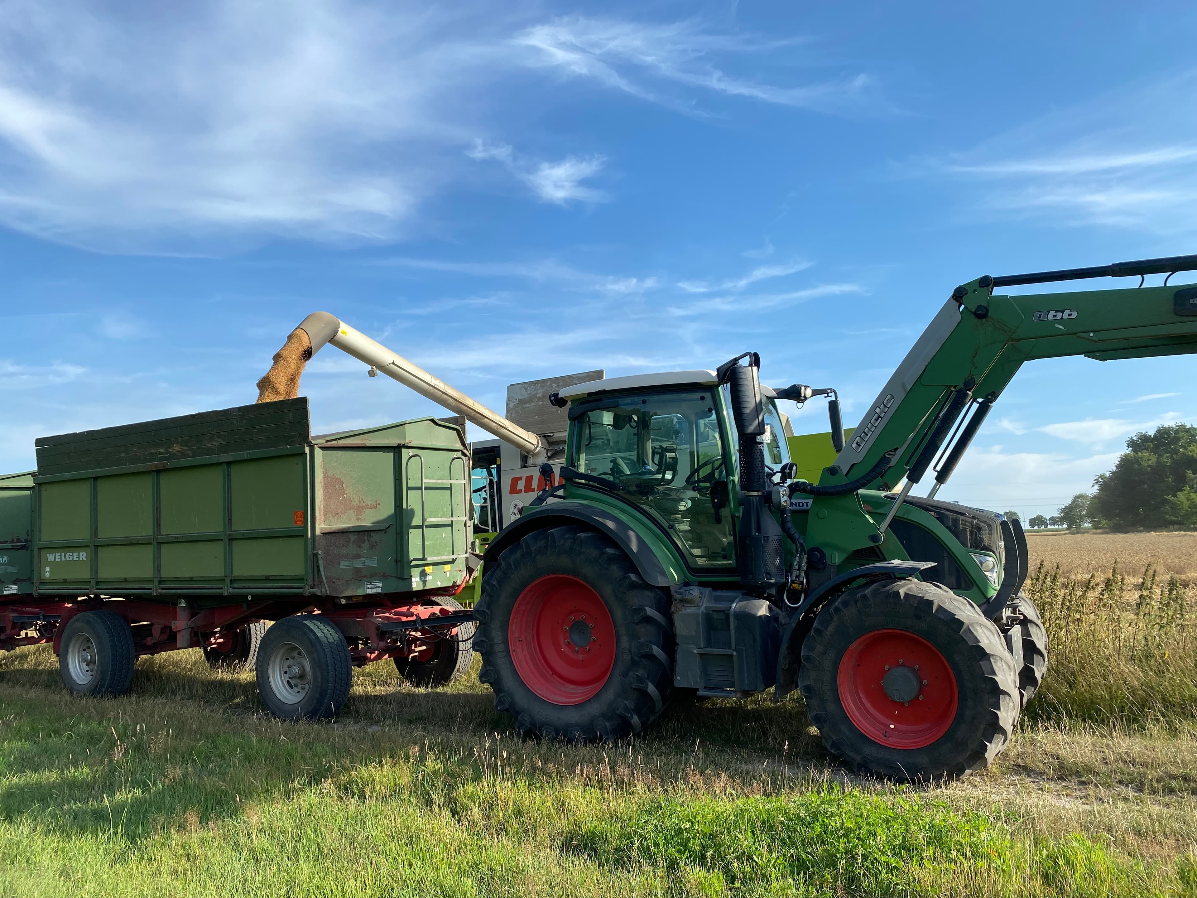 Neuland-Hof Spöring Walsrode Traktor