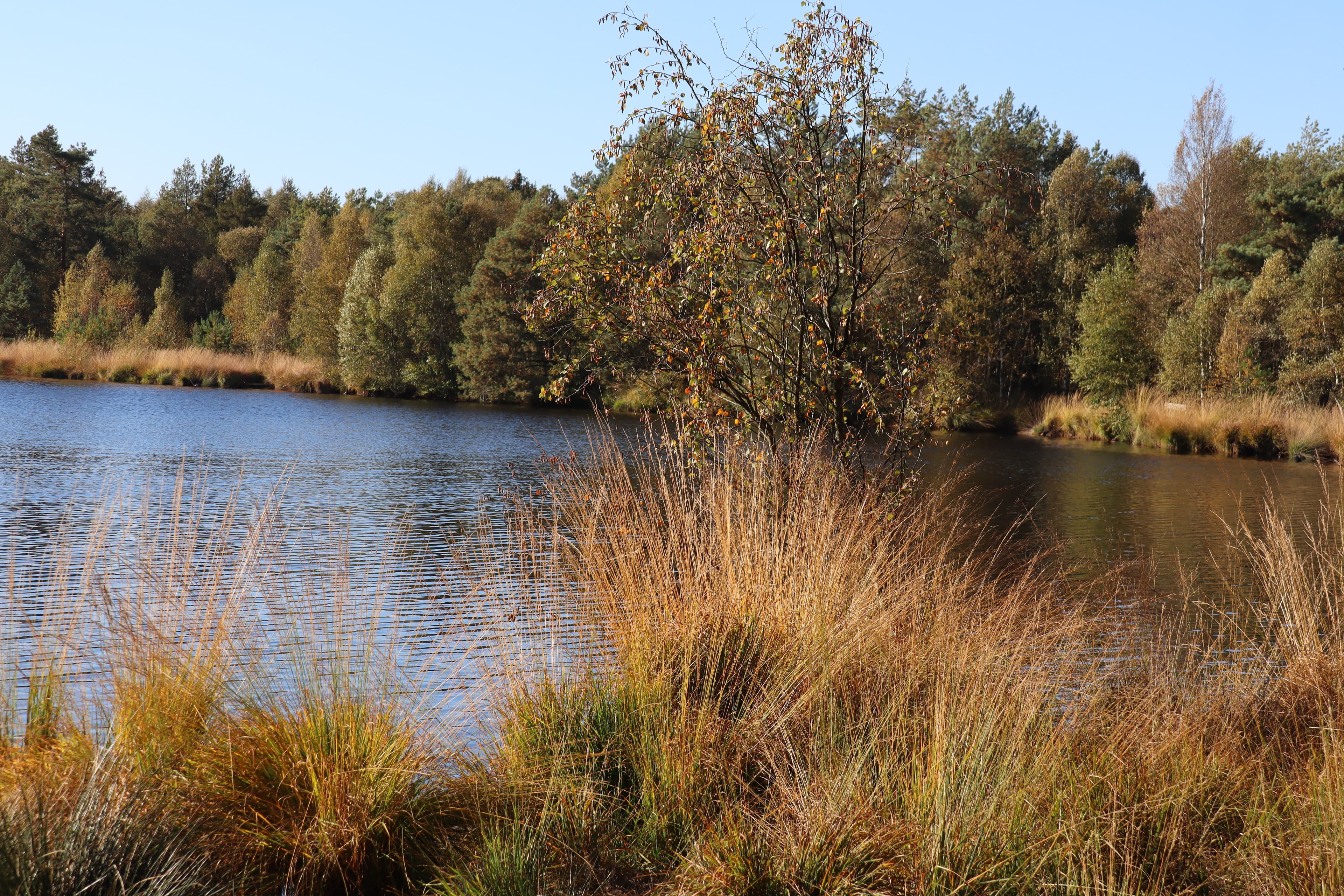 Grundloser See in Walsrode