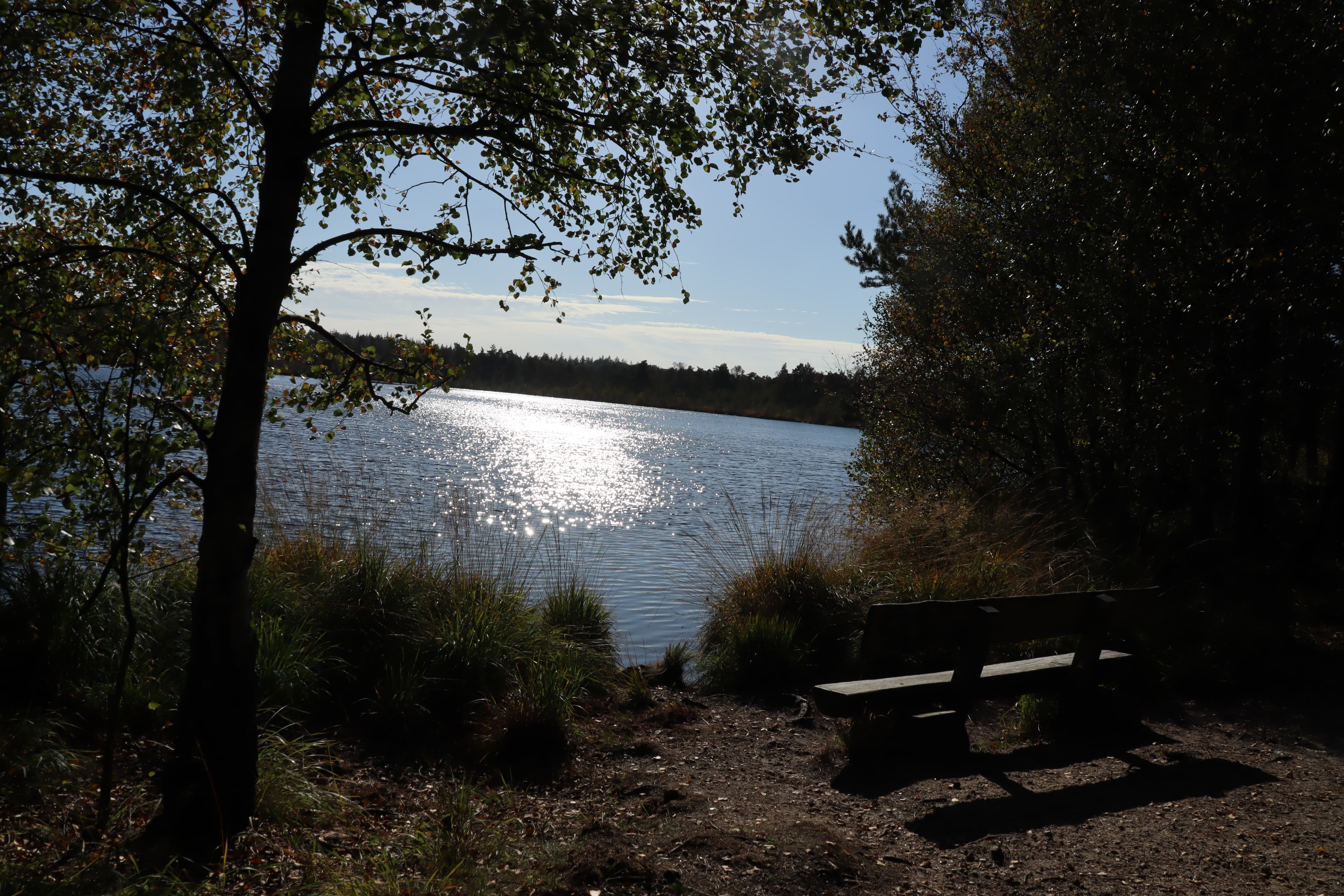 Grundloser See in Walsrode am Abend