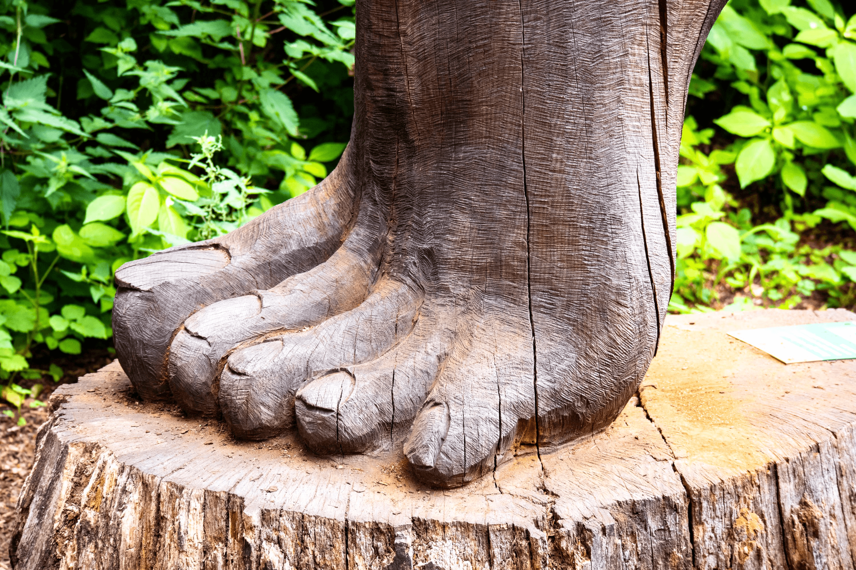 alles aus natur im Barfußpark Egestorf