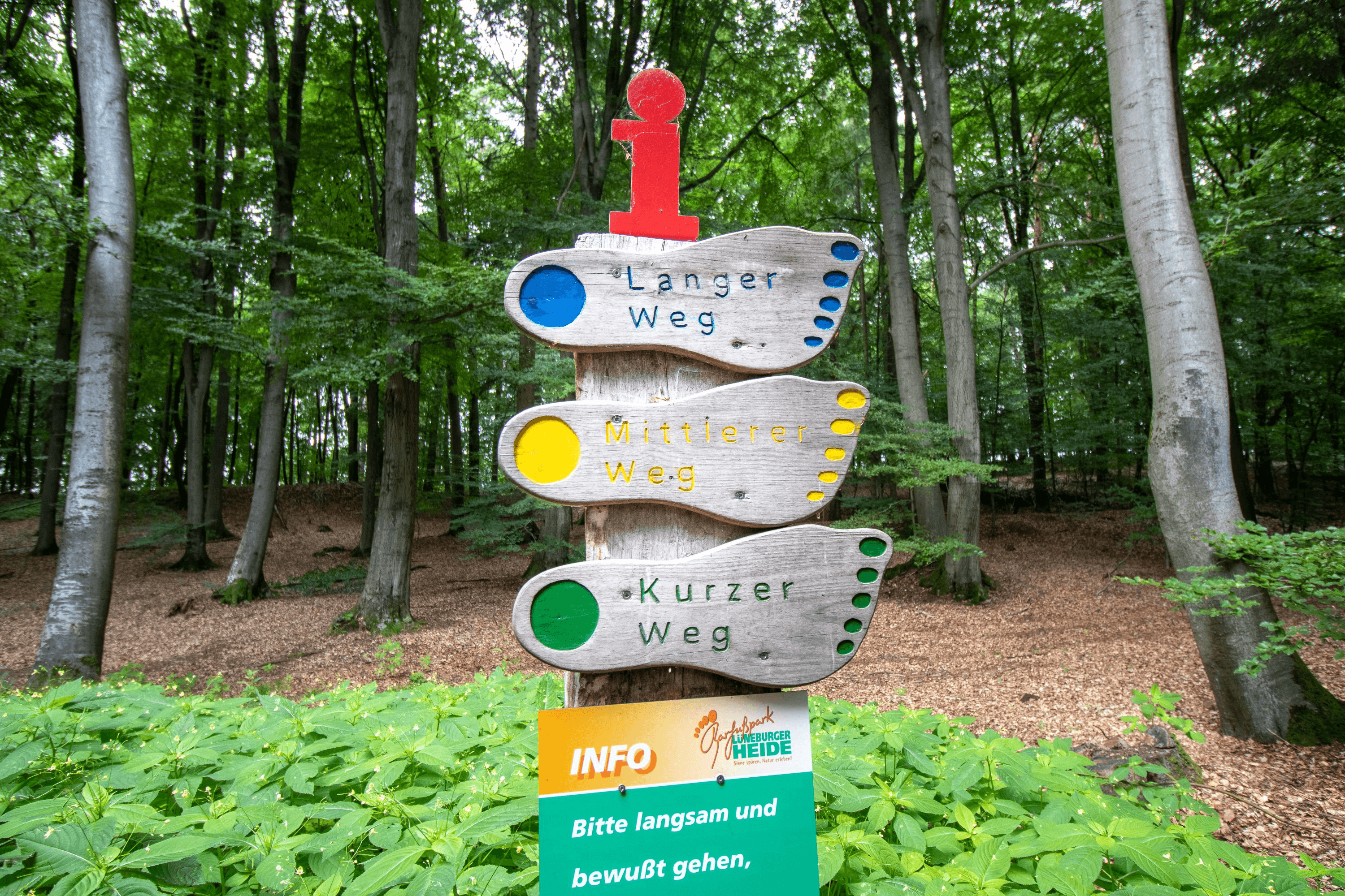 Ausschilderung für verschiedene Wege im Barfußpark Egestorf