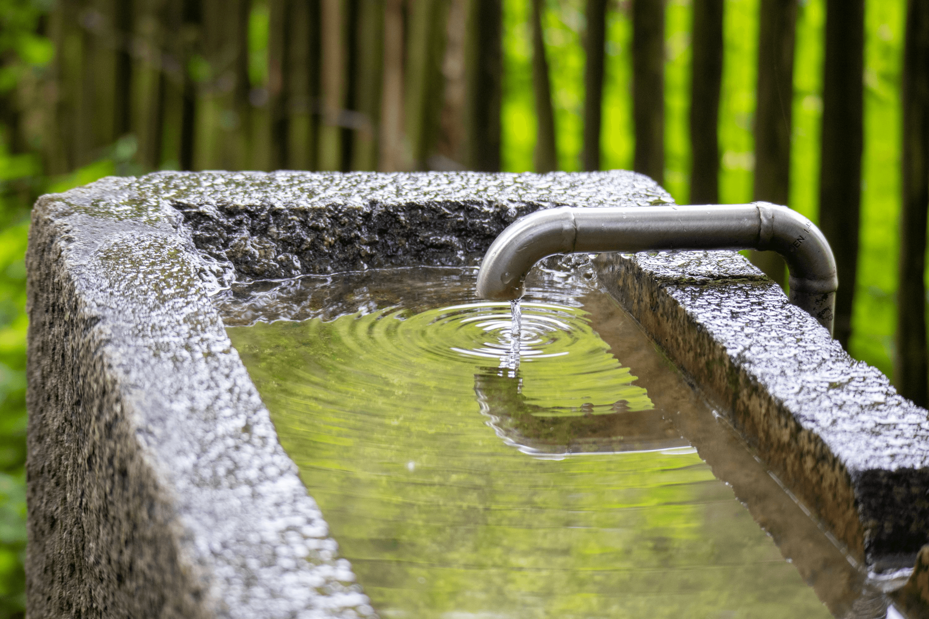 im Barfußpark Egestorf gibt es auch eine Station für die Arme