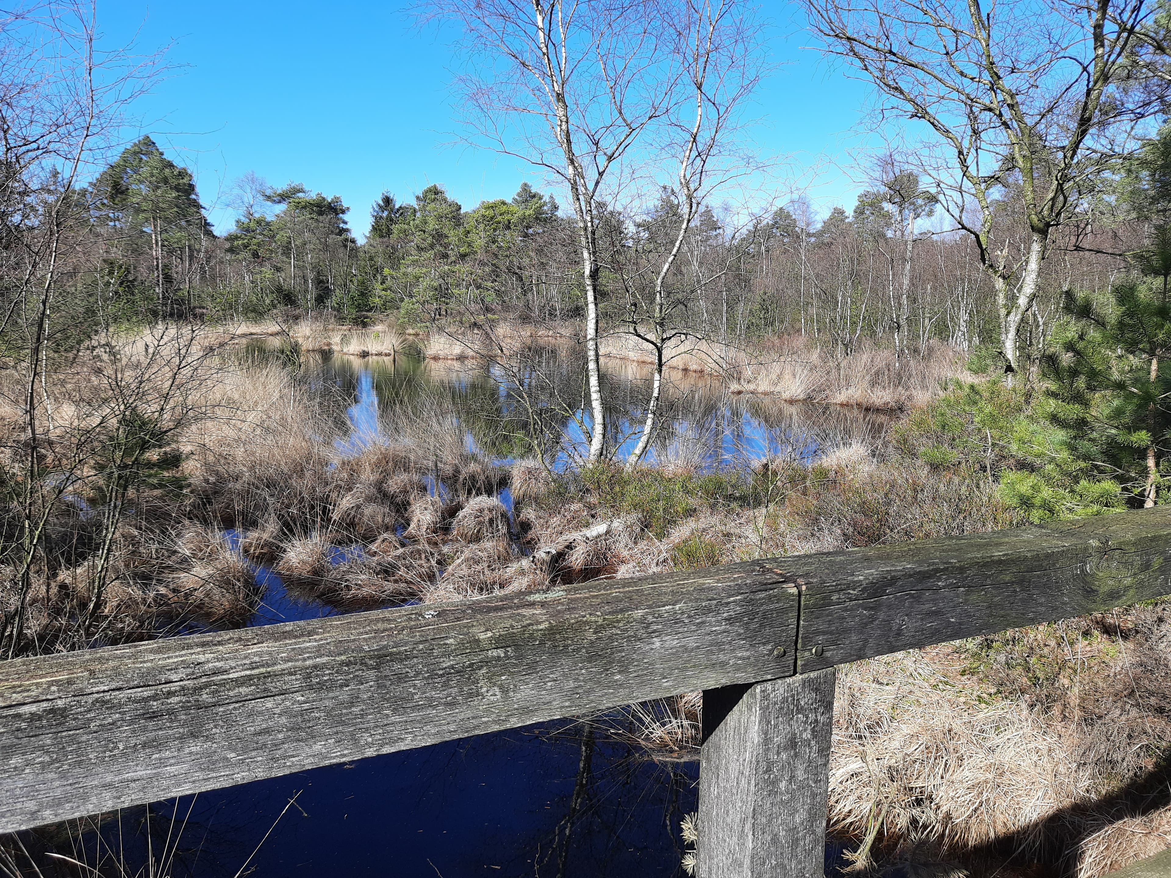 Grundloser See Walsrode
