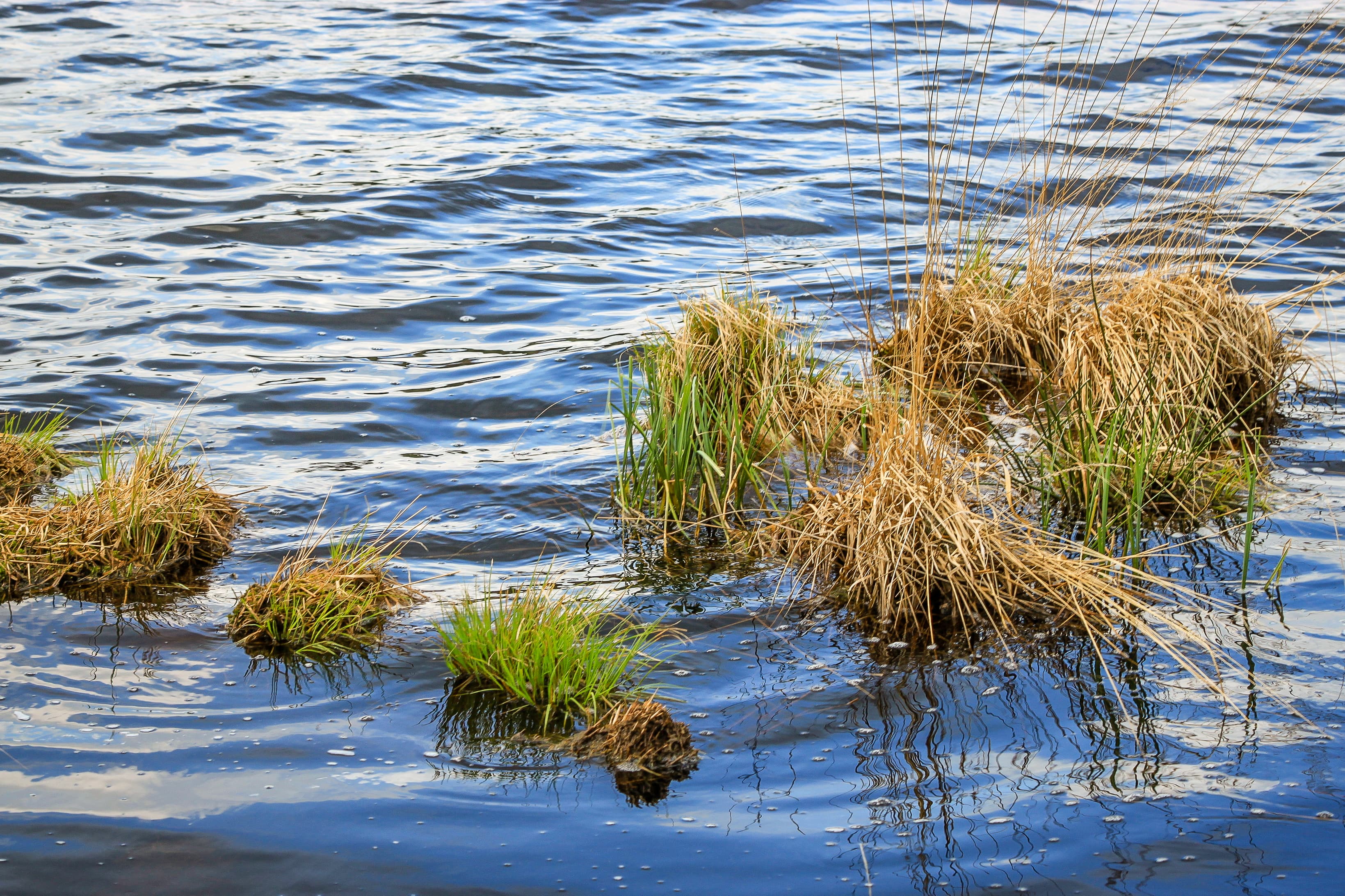Grundloser See Walsrode