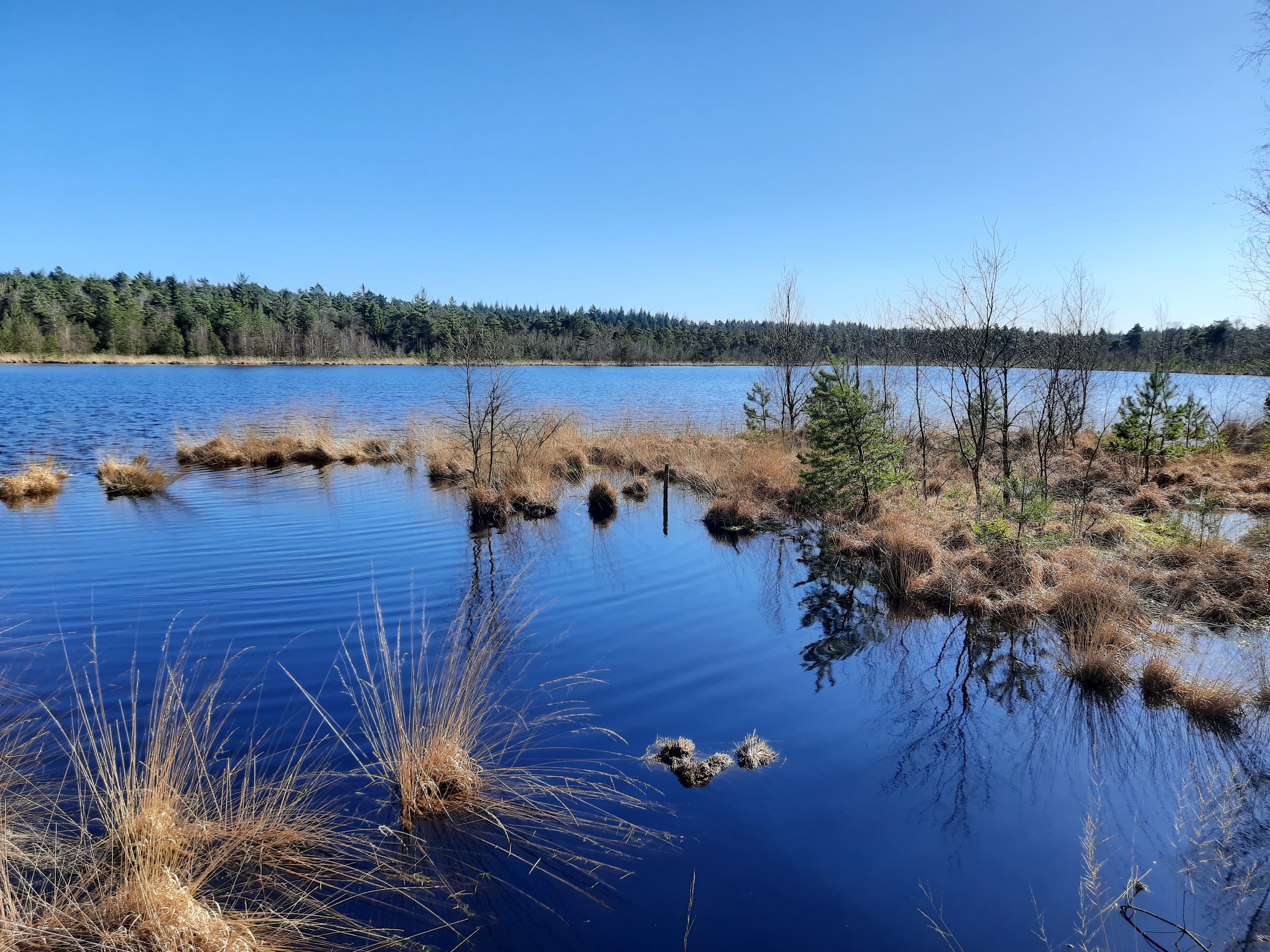 Grundloser See Walsrode