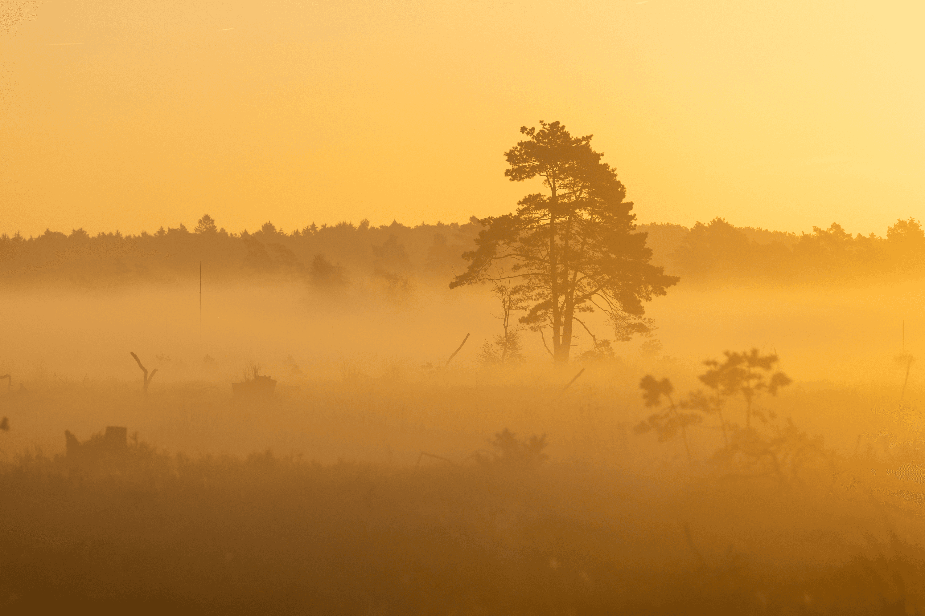 tolle farben beim sonnenaufgang im pietzmoor im oktober