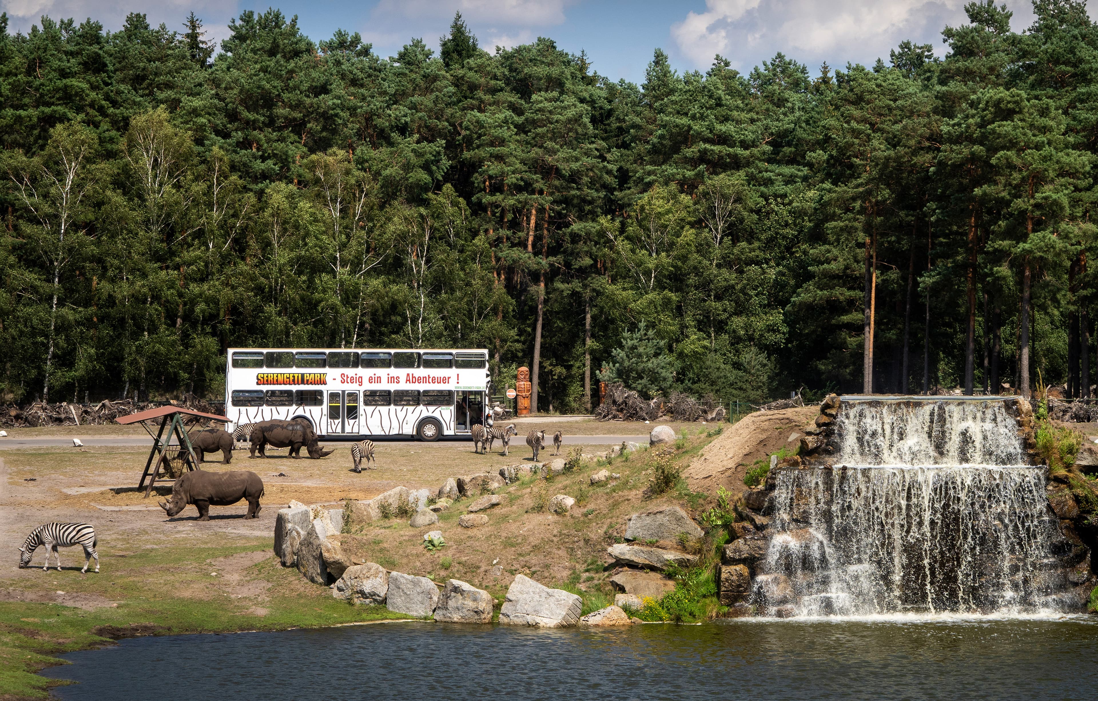 man kann mit dem bus durch den serengeti park auf safari gehen