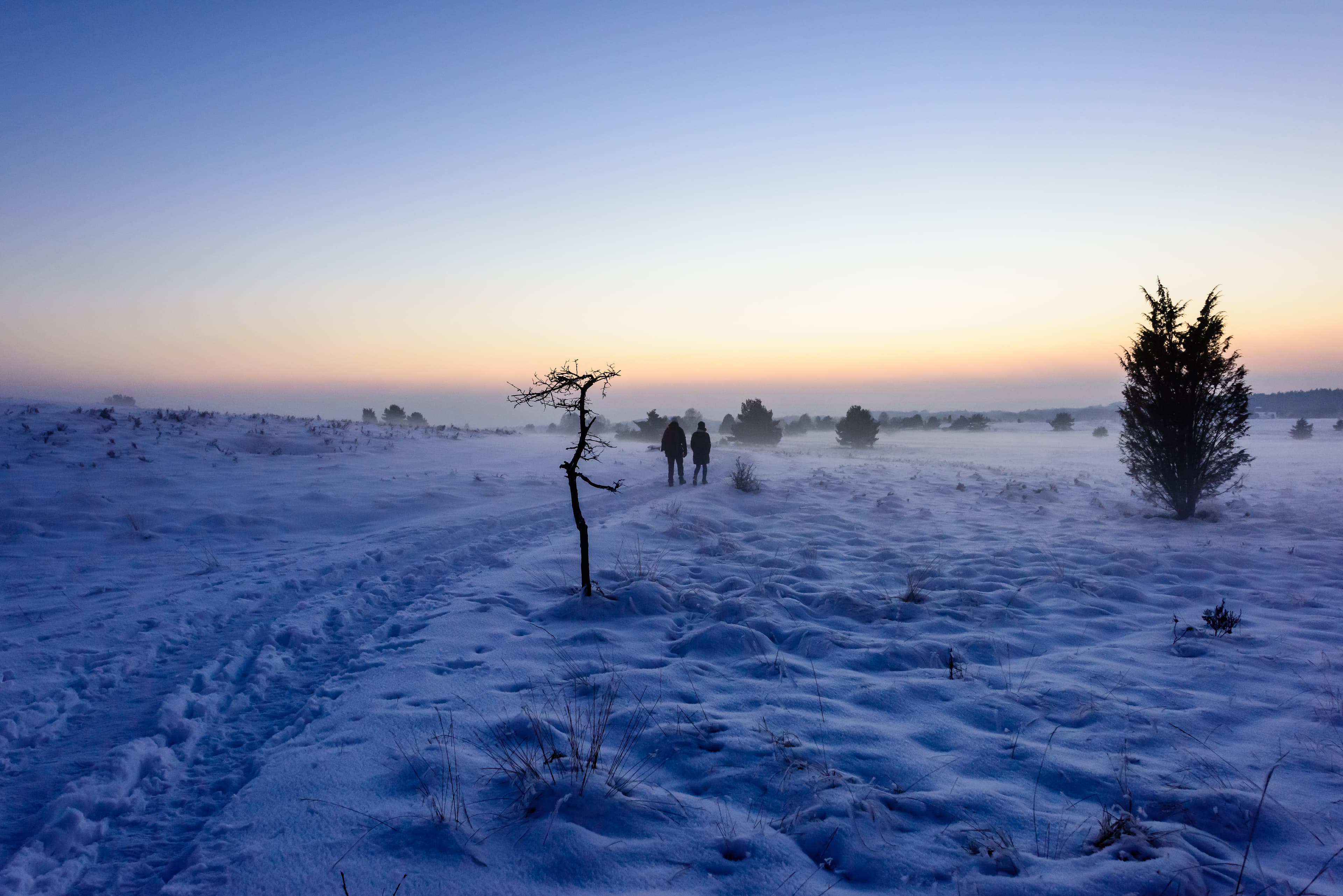 Wandern durch das autofreie Naturschutzgebiet am Wilseder Berg in Bispingen in der Lüneburger Heide im Winter
