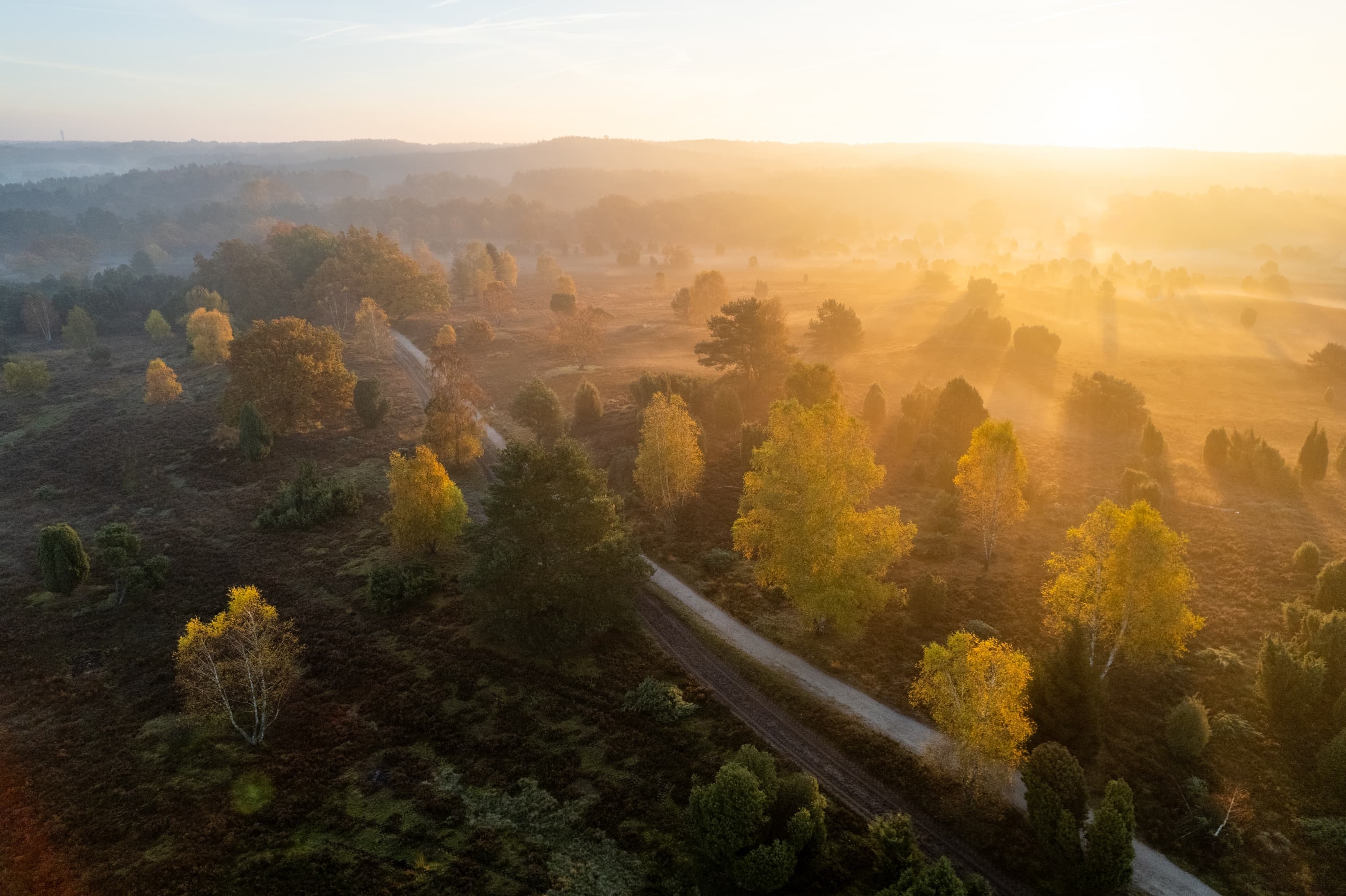 Die Sudermühler Heide im Herbst aus der Luft