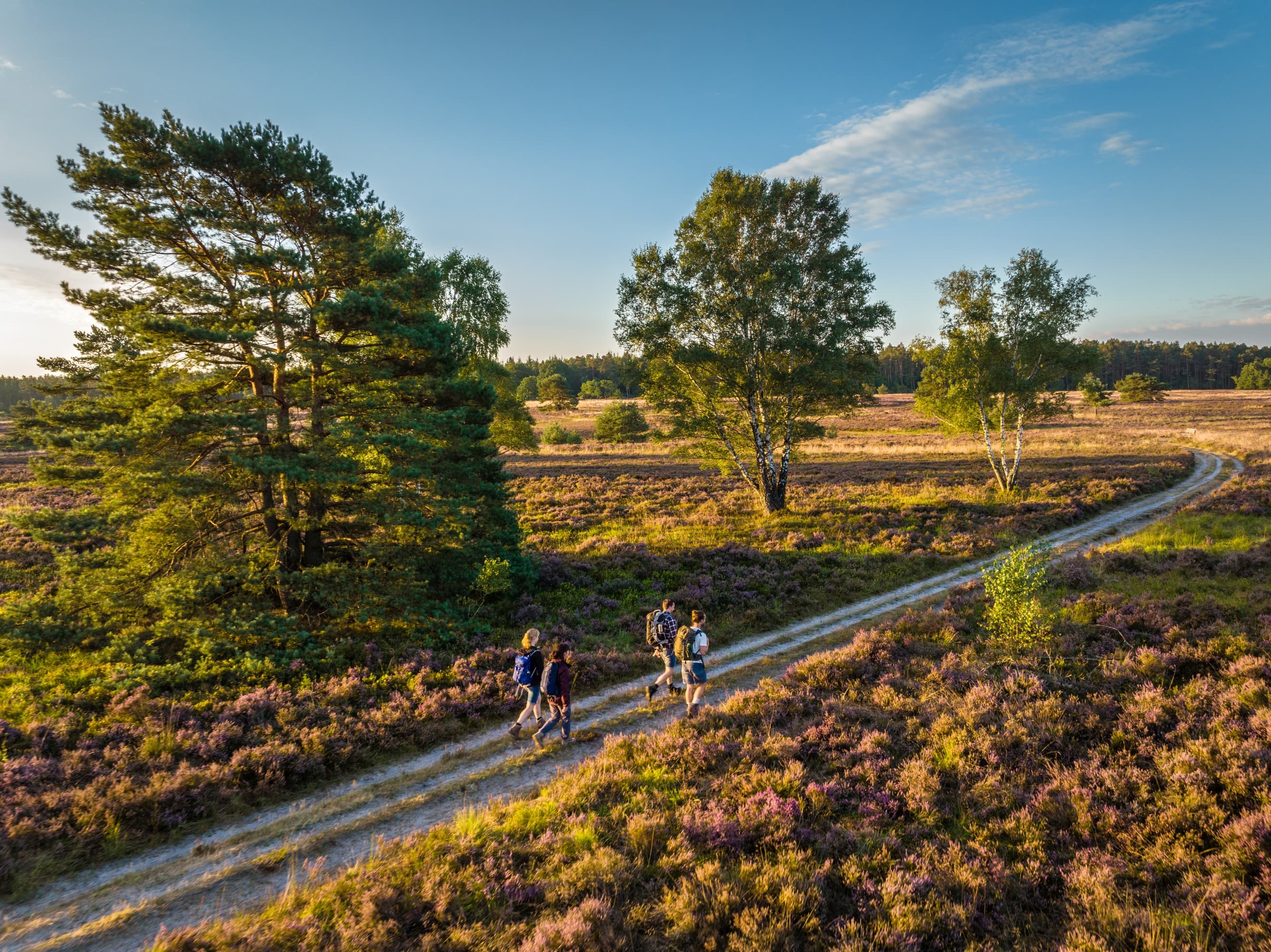 Wanderer auf Wegen in der Lüneburger Heide
