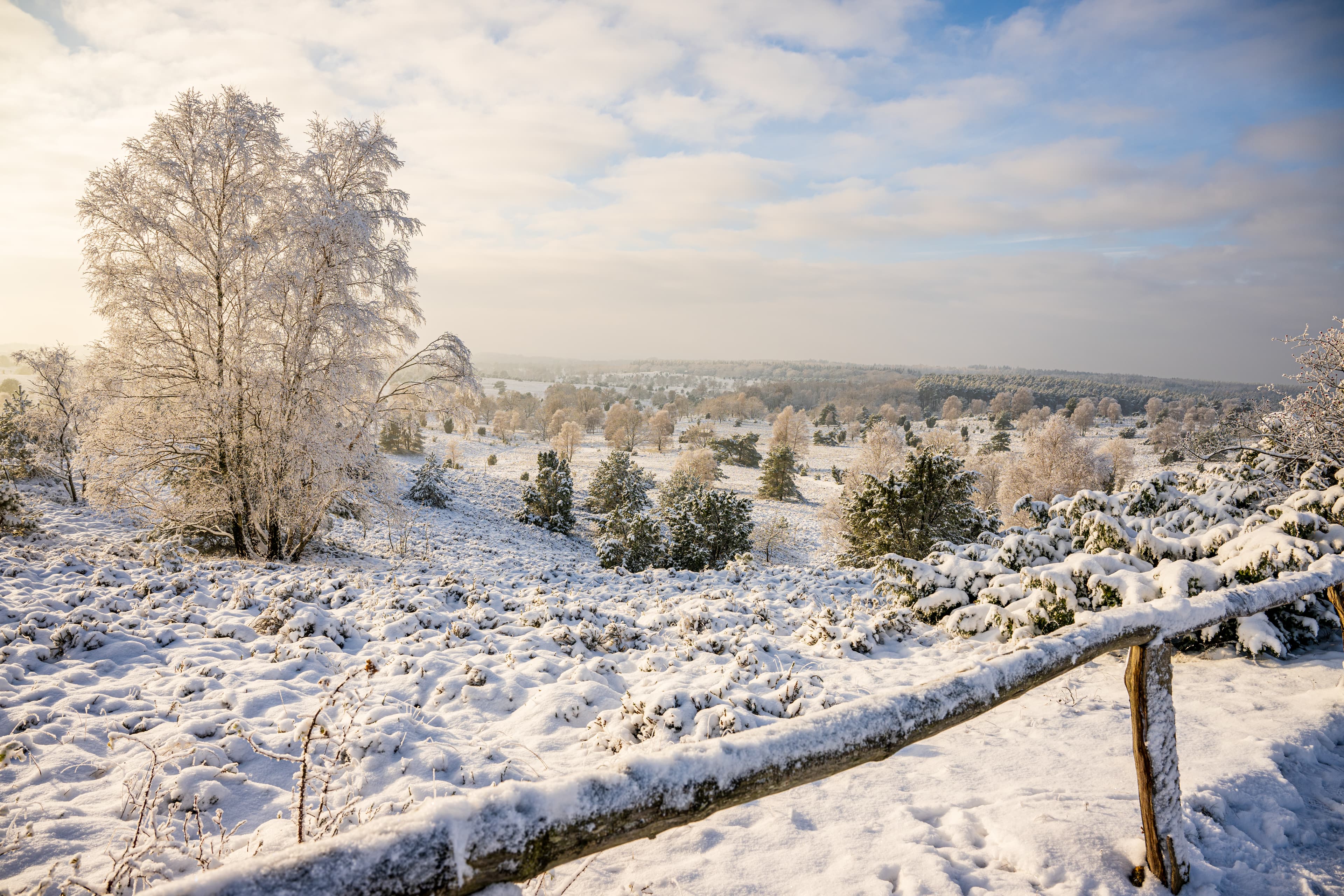 Traumhafte Winterlandschaft am Wilseder Berg im Naturpark Lüneburger Heide