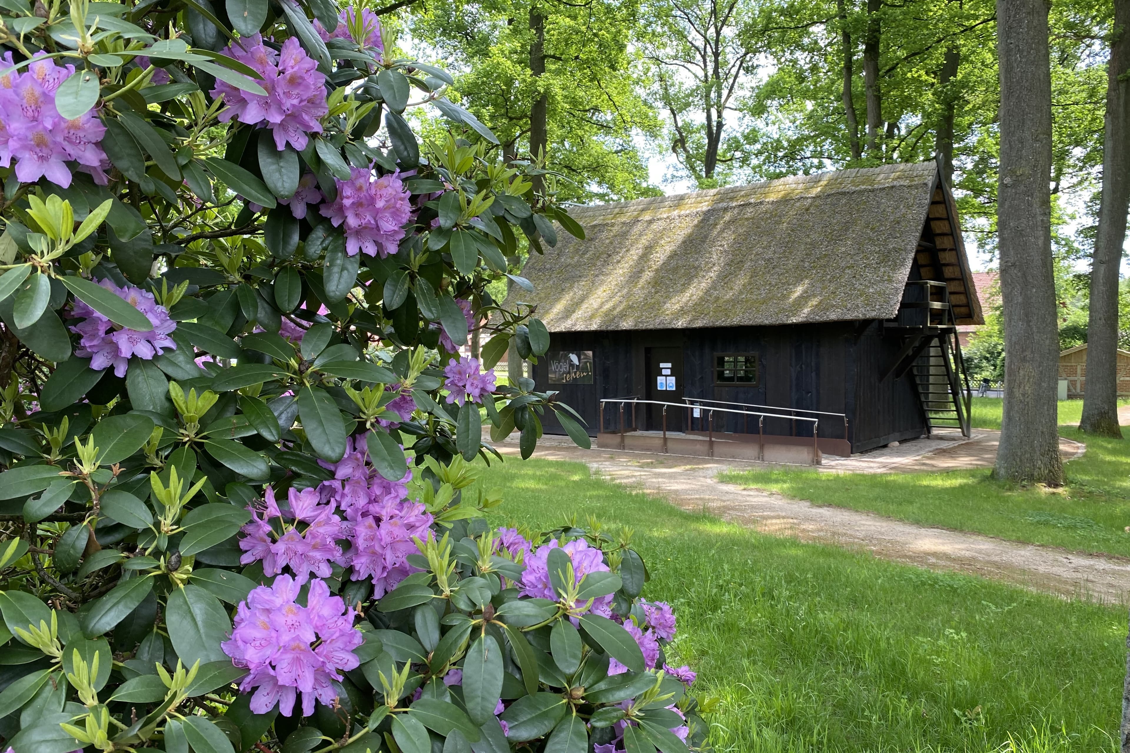 Treppenspeicher in Lutterloh