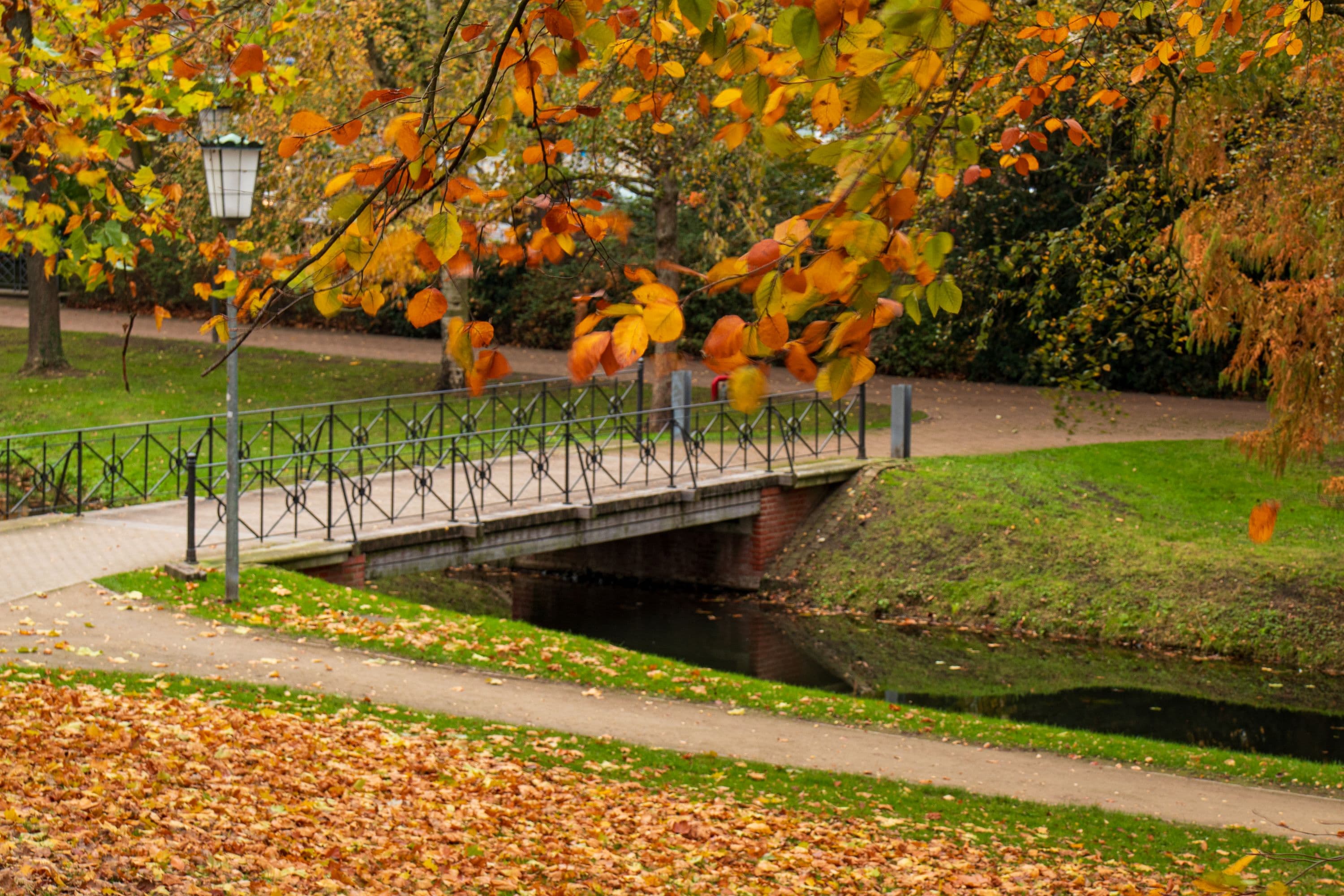 Herbstspaziergang im Schlosspark Celle