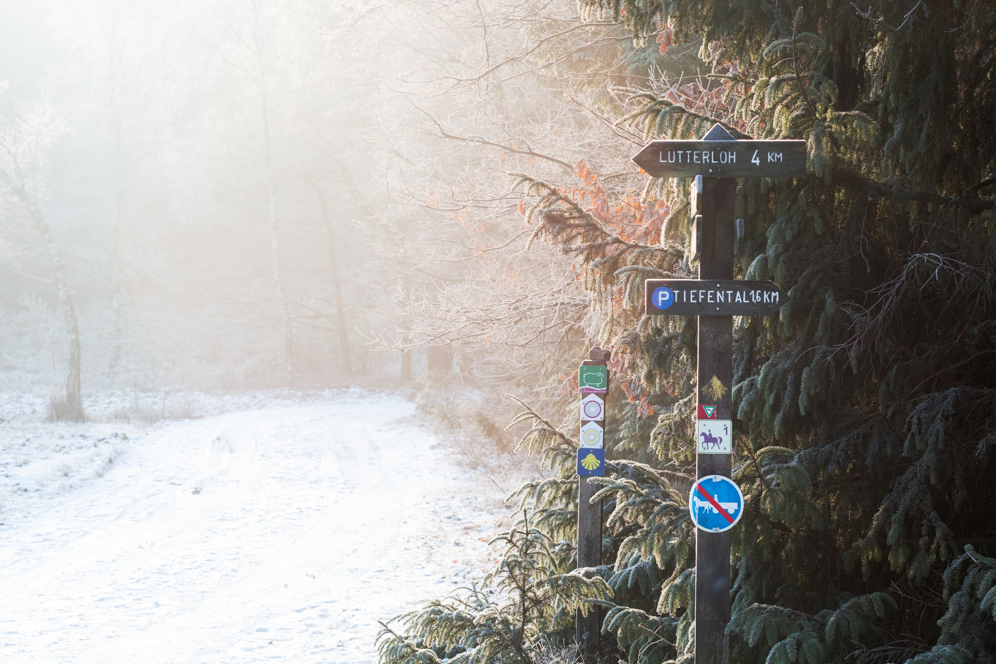 Hermannsburg Misselhorner Heide Winter Frost
