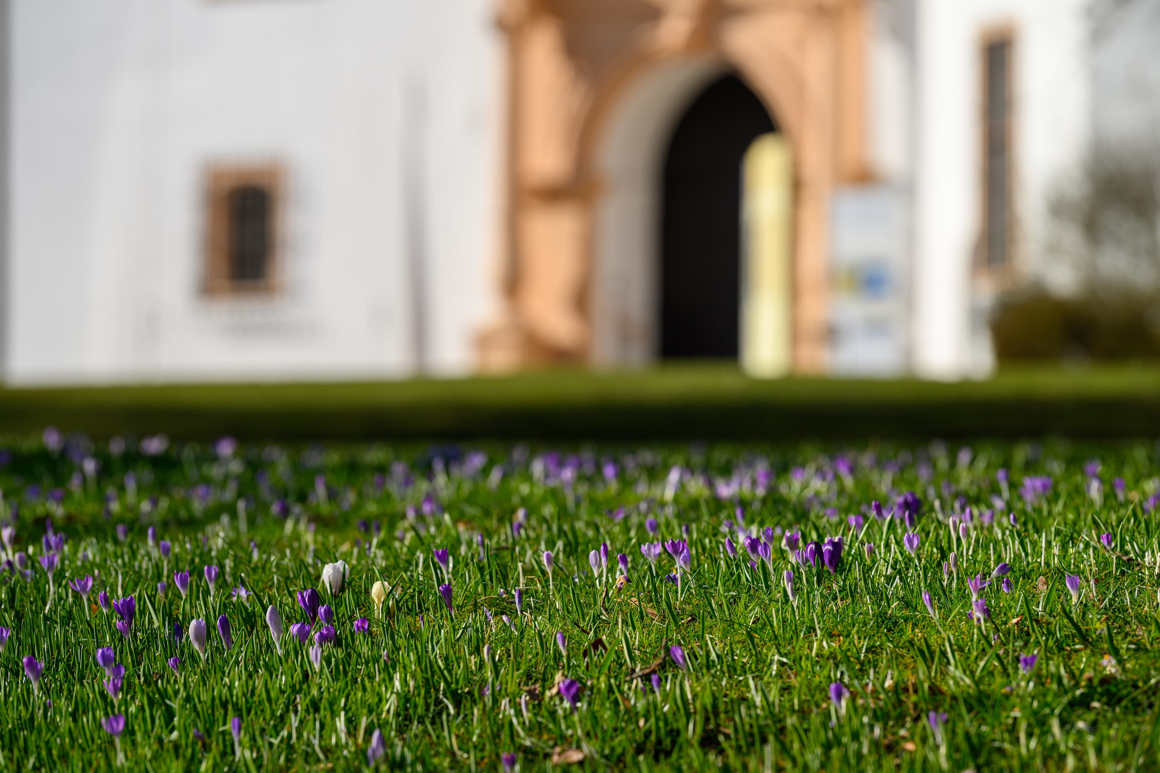 Frühling im Schlosspark in Celle